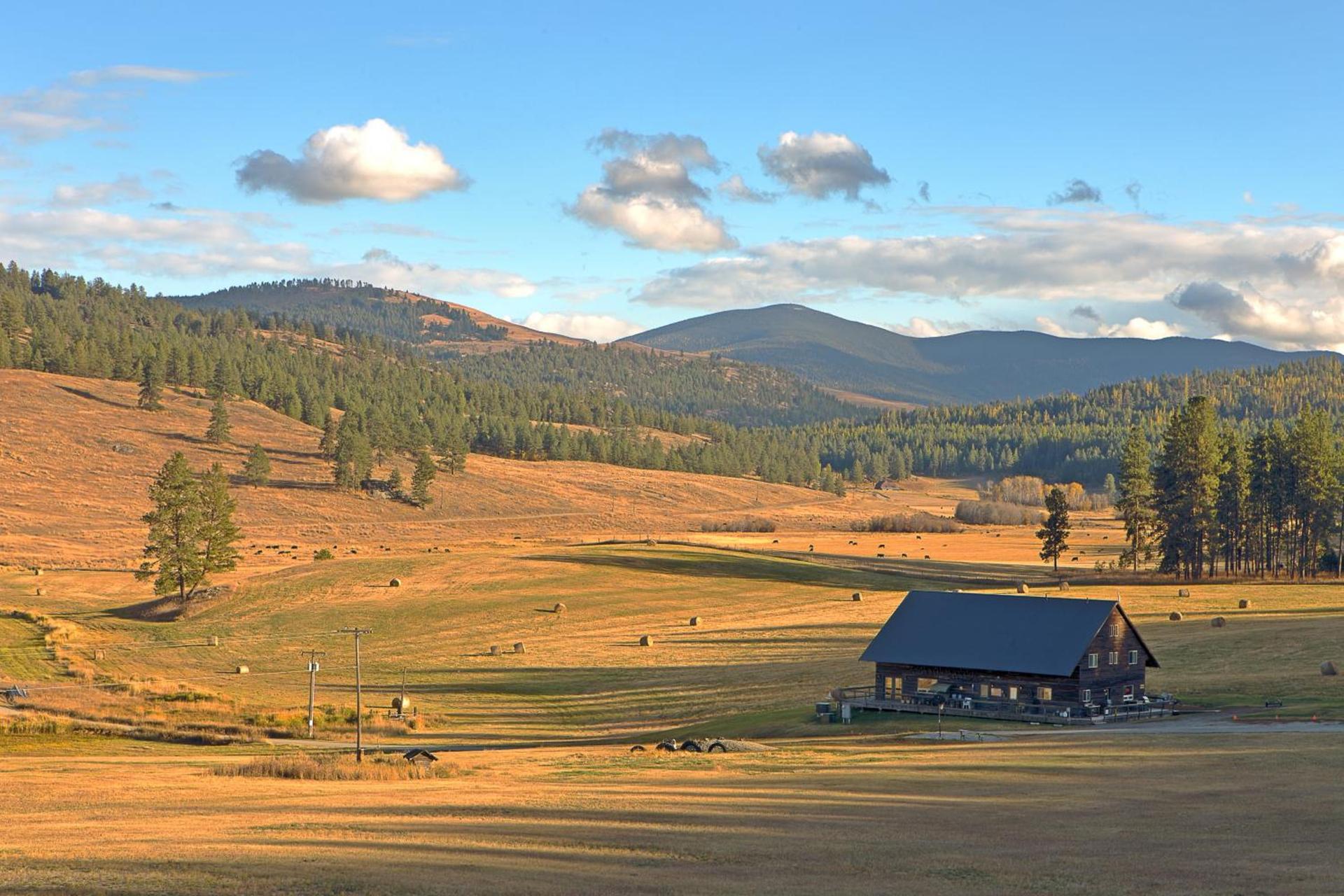 Eden Valley Ranch photo 41