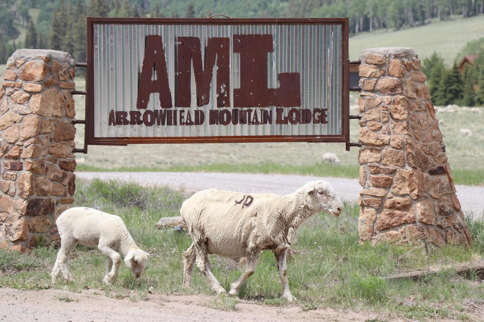 Arrowhead Mountain Lodge photo 2
