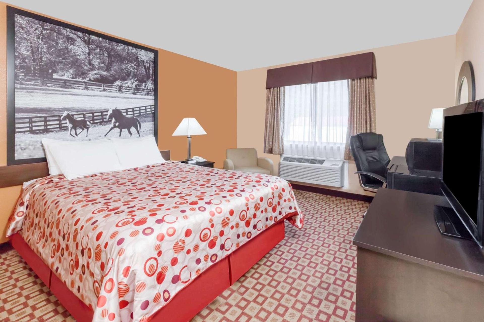 Super 8 South by Wyndham photo 10
