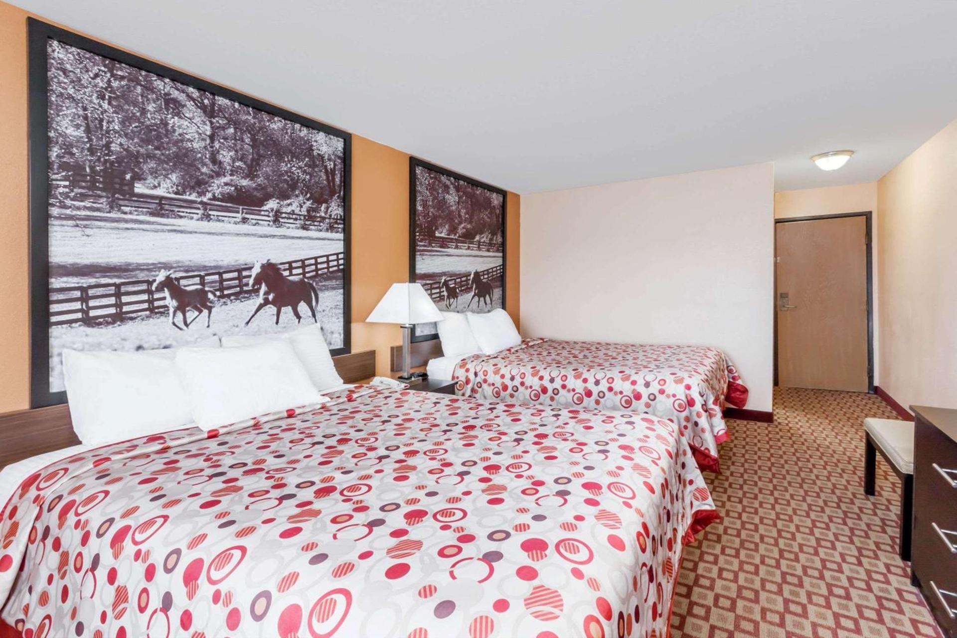 Super 8 South by Wyndham photo 12