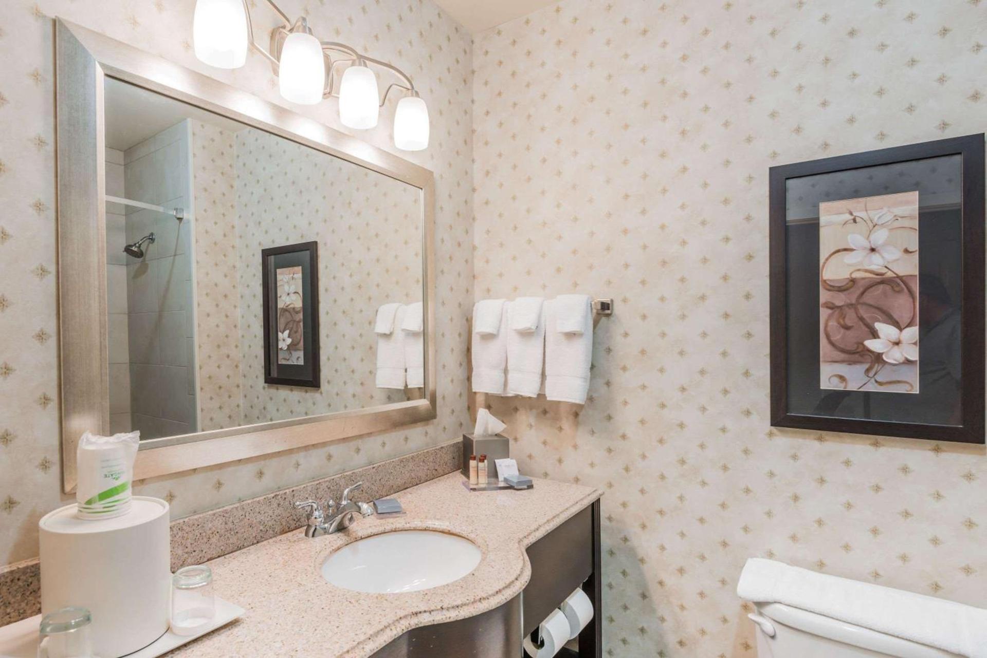 Wingate by Wyndham New Braunfels photo 9
