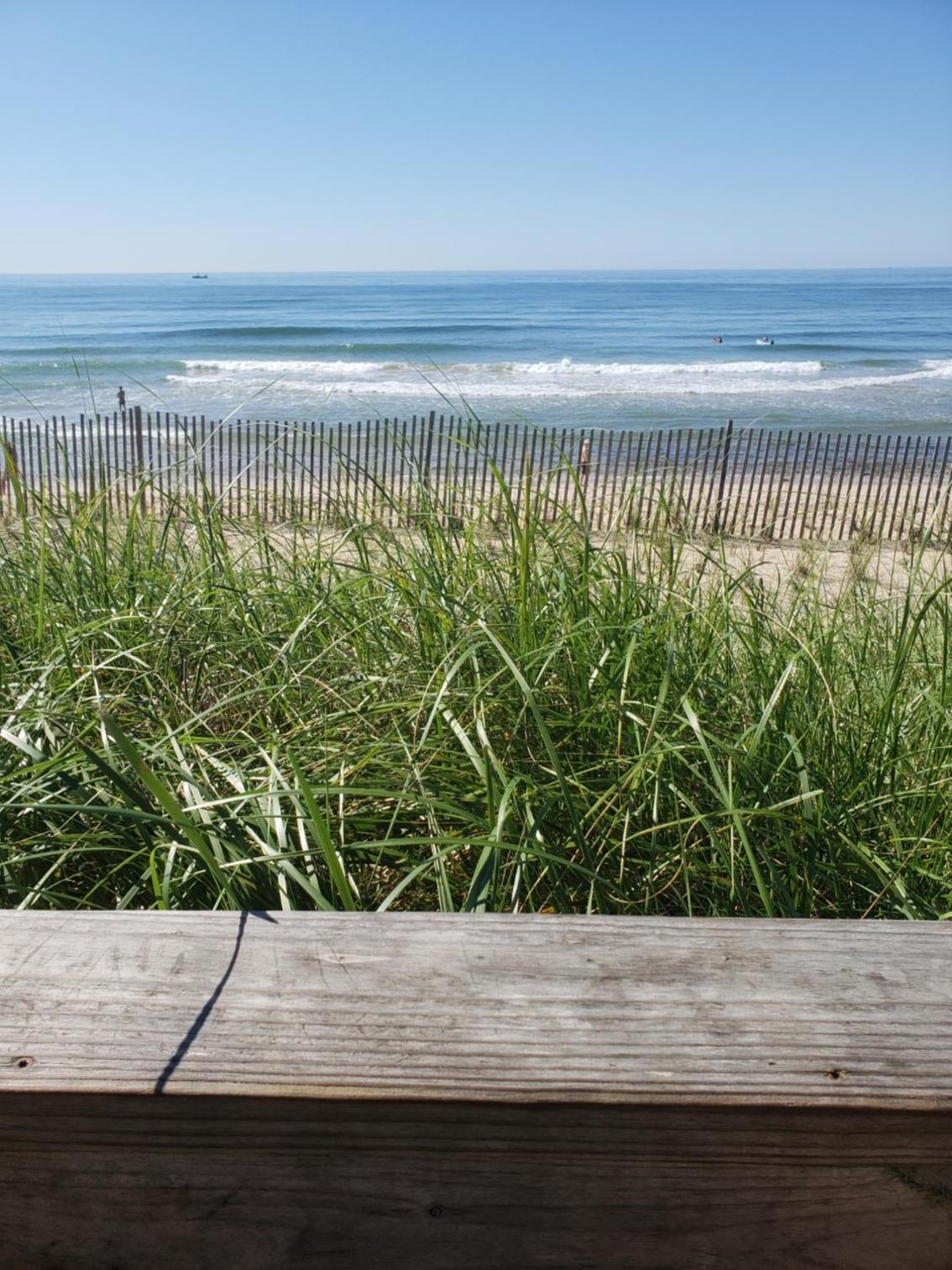 Marram photo 17