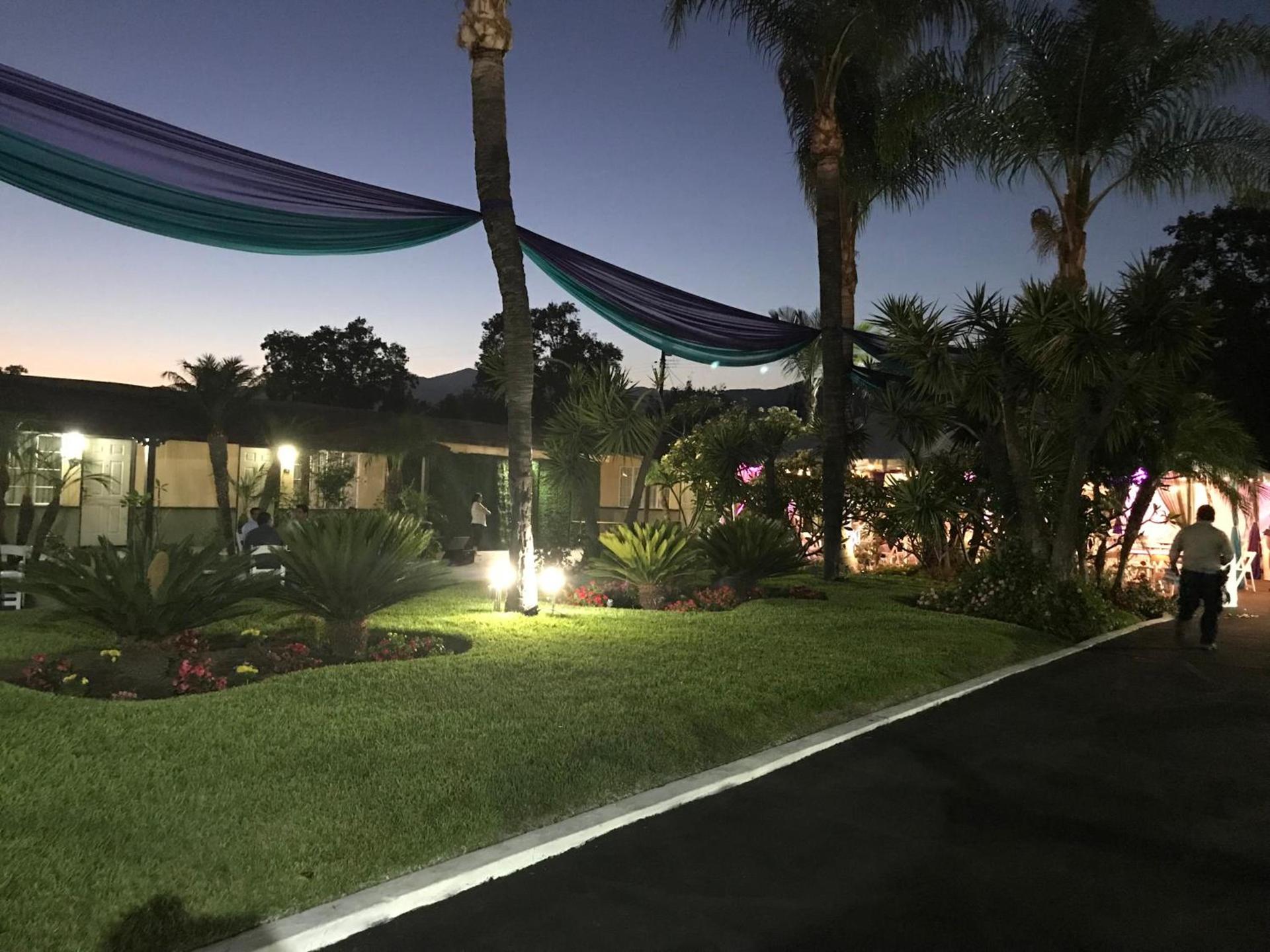 Palm Tropics Motel photo 28