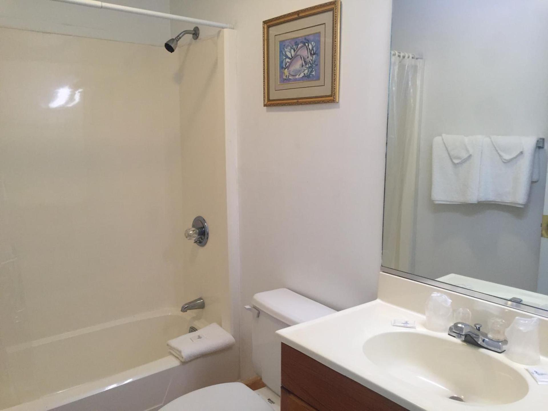 Ocean Cove Motel photo 20