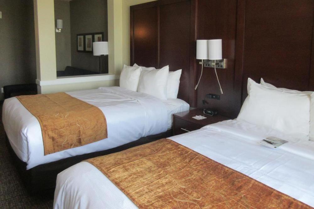 Comfort Suites Denver International Airport photo 8