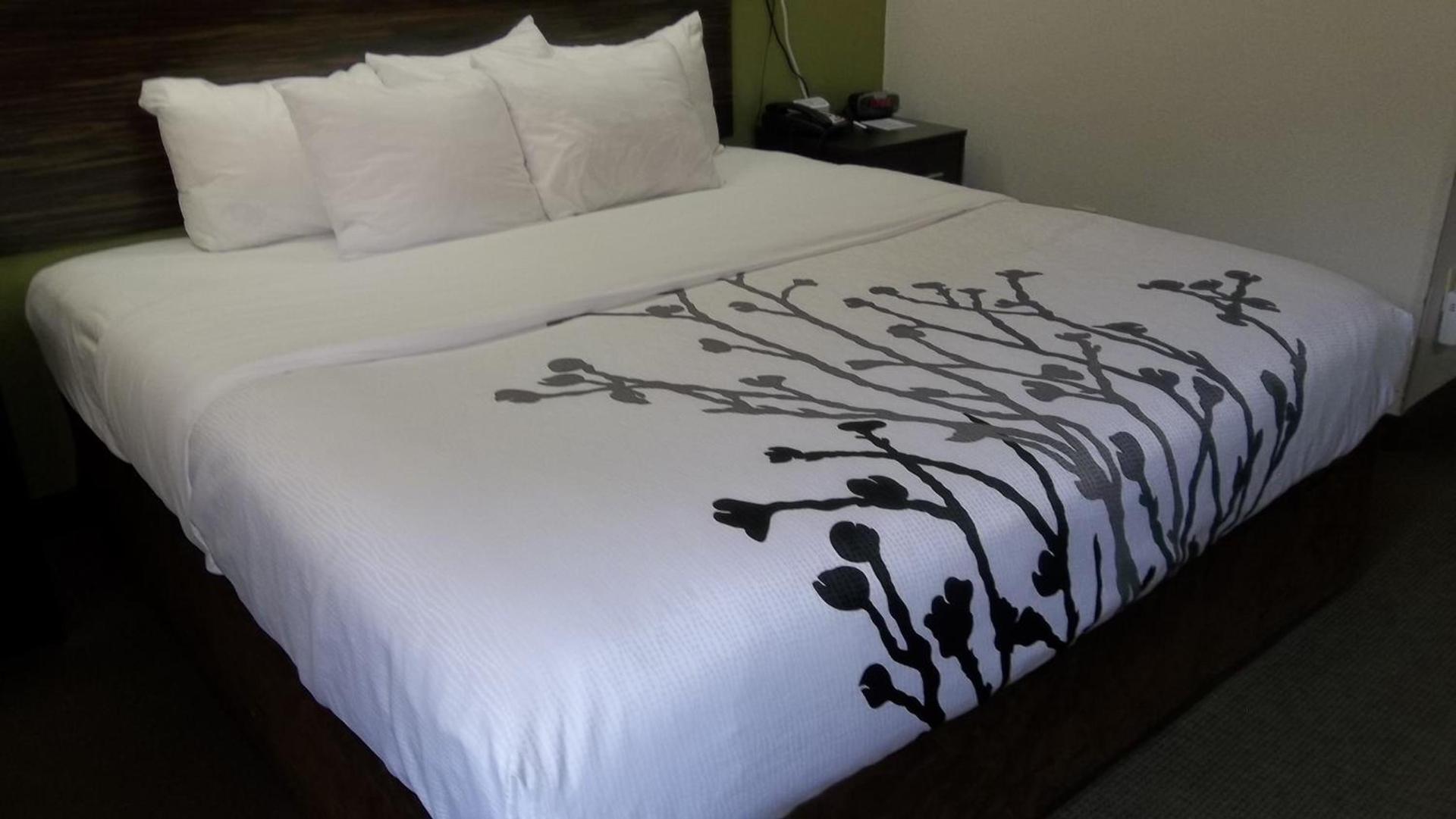 Sleep Inn Bryson City - Cherokee Area photo 49
