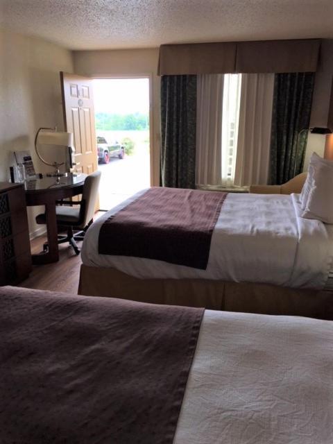 Royal Inn photo 4