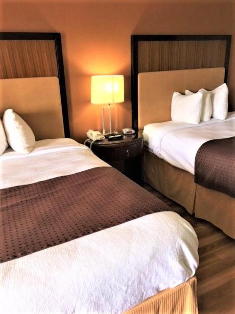 Royal Inn photo 6