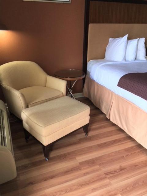 Royal Inn photo 7
