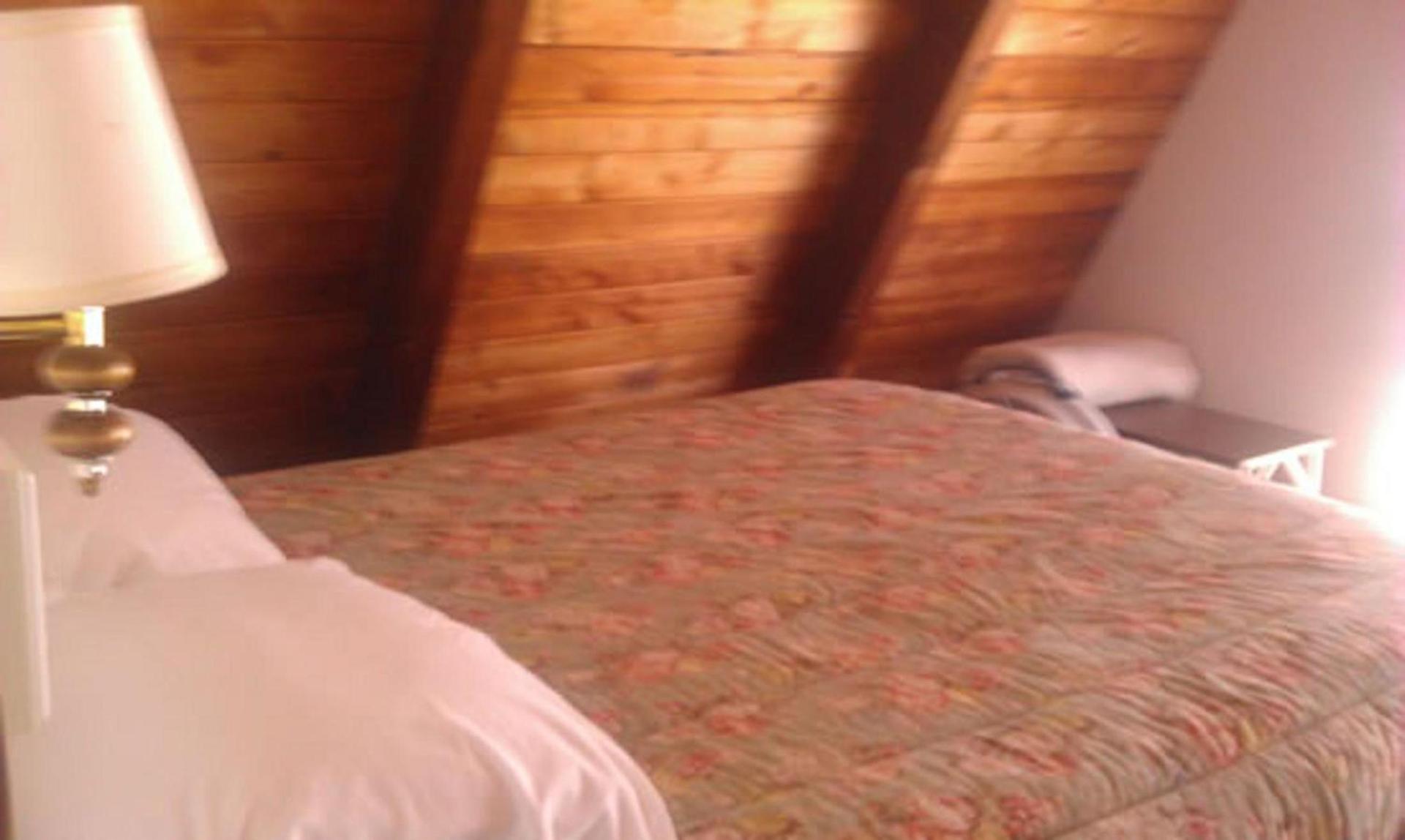 Oliver Lodge photo 71