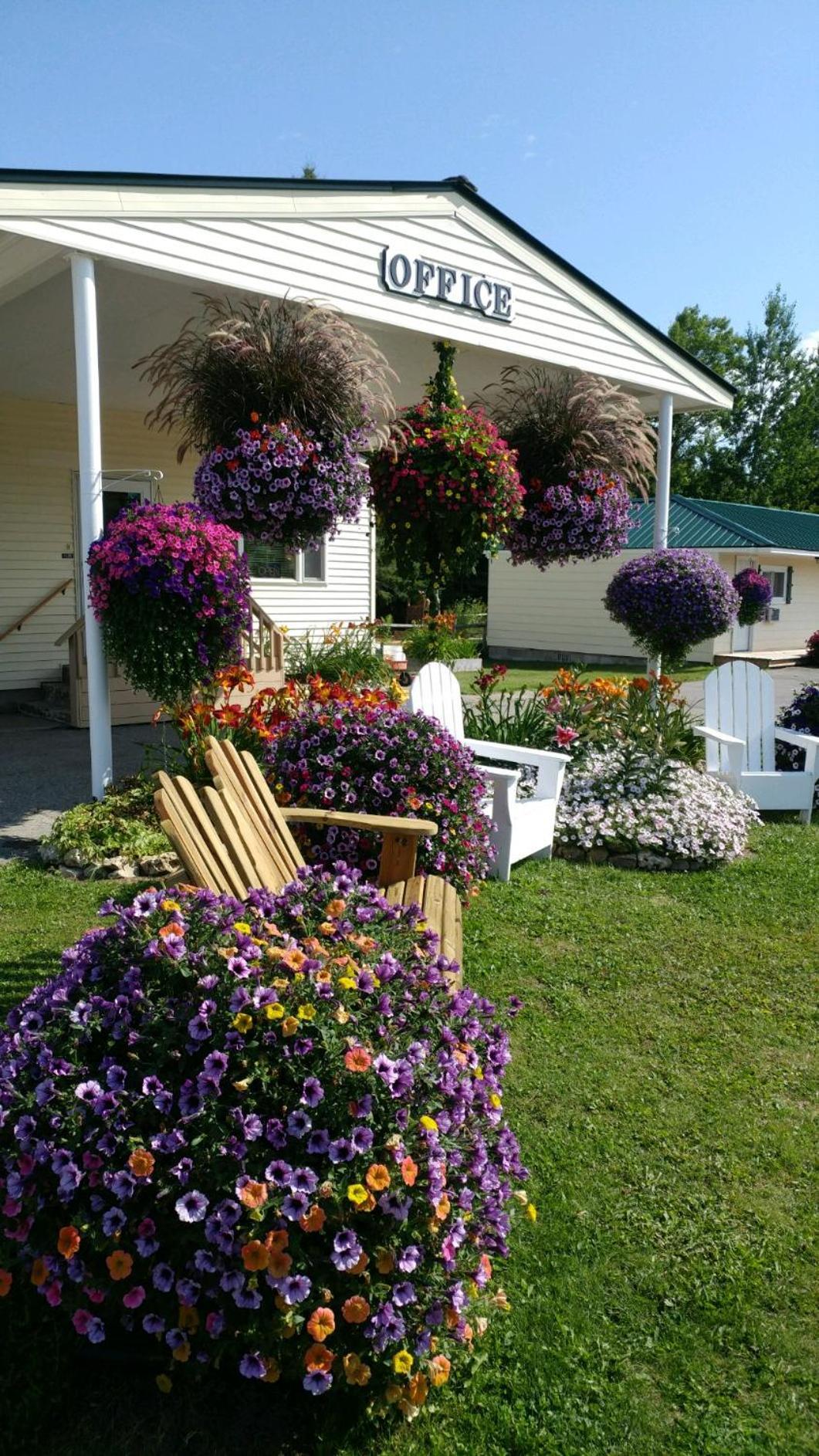 Sunset Motel at Armand's Gardens photo 3