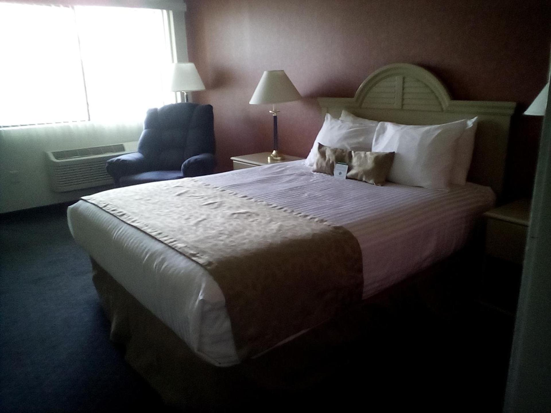 Lewis River Inn photo 47