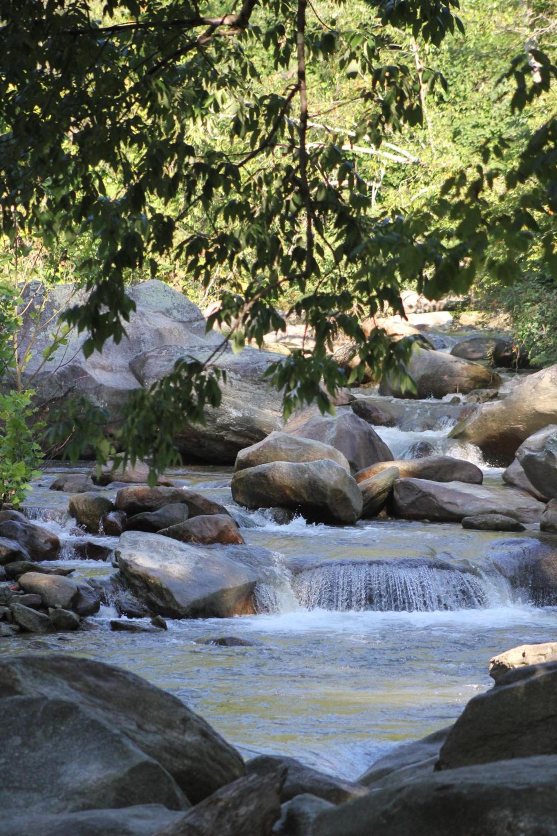 The Evening Shade River Lodge and Cabins photo 50