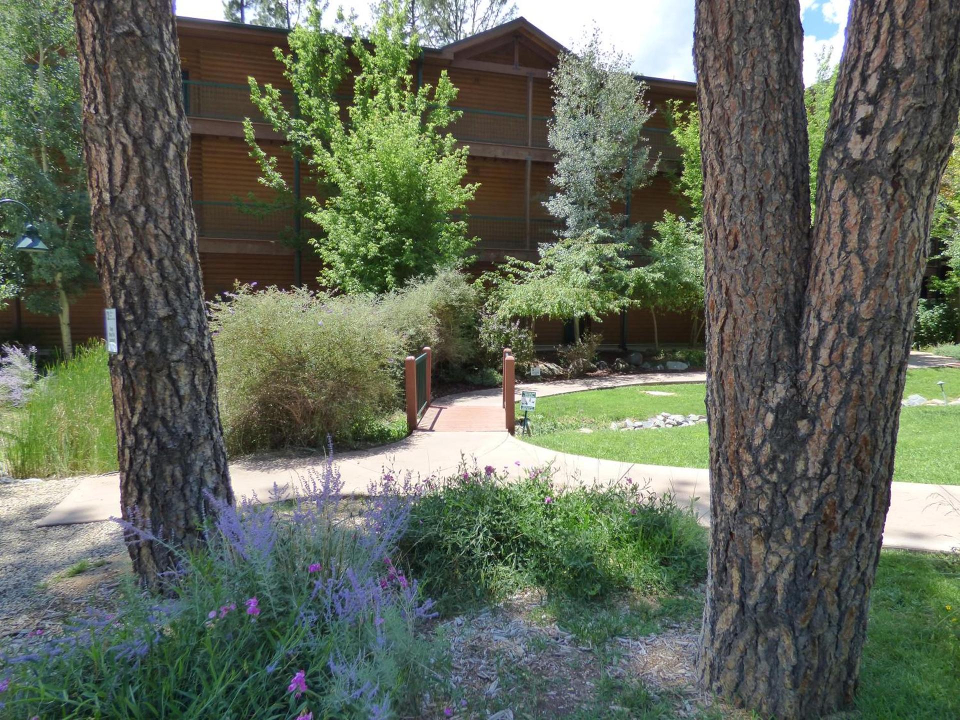 Ruidoso River Resort Condos photo 3