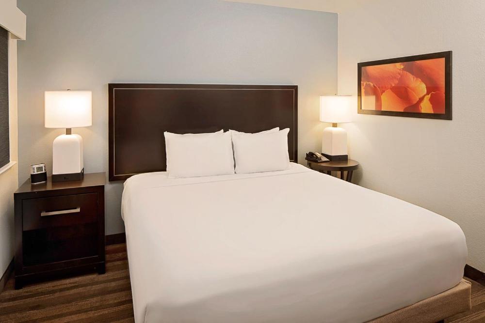 Hyatt House Dallas Addison photo 15