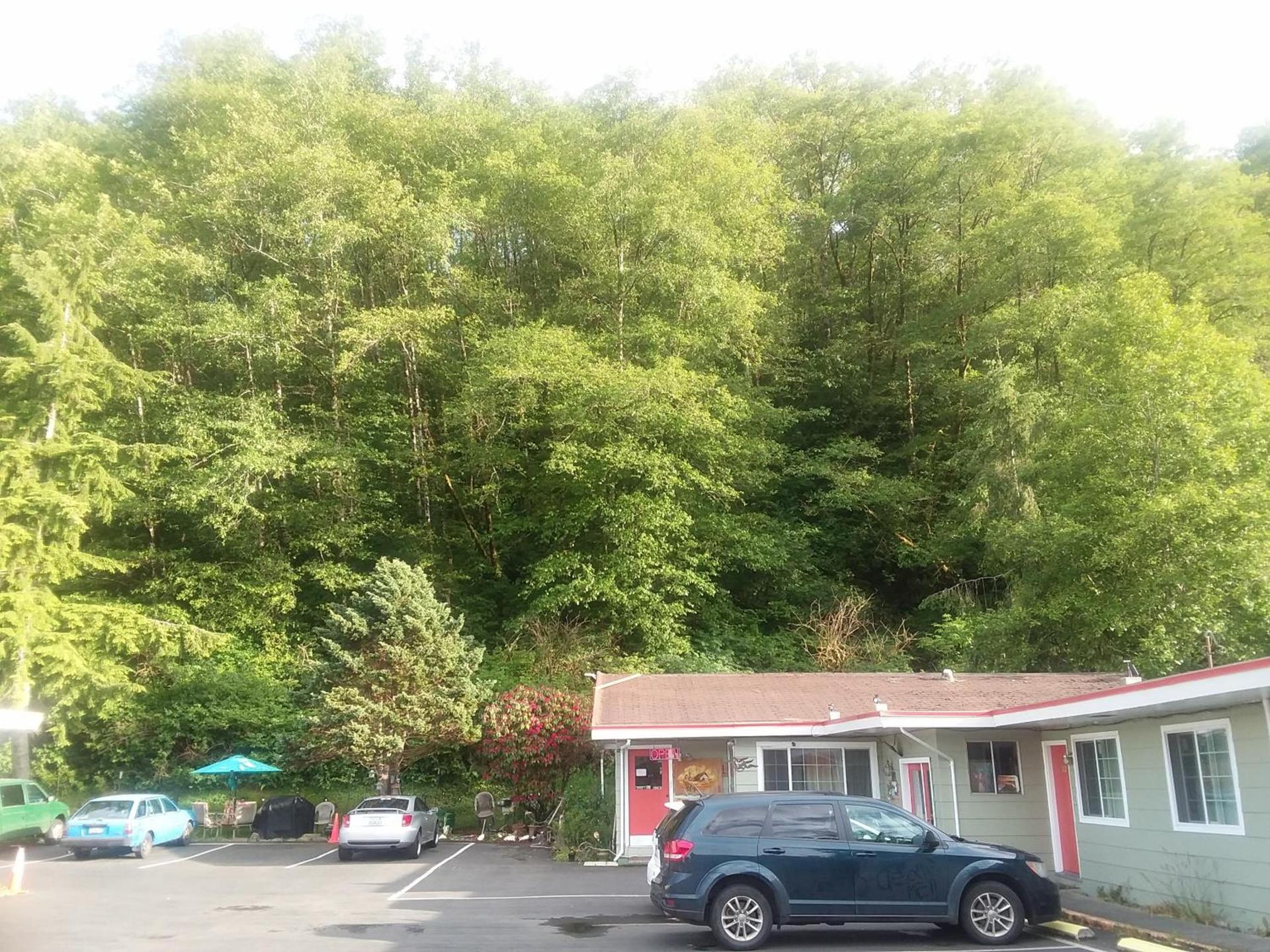 Shiny Motel photo 15