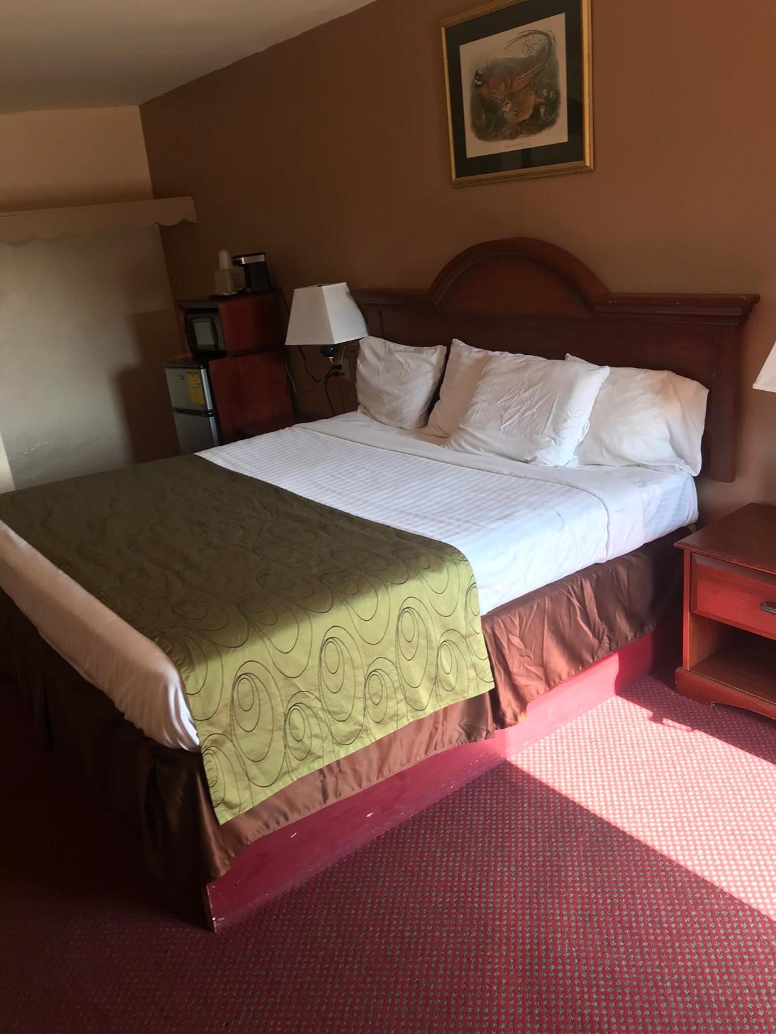 Shamrock Motel Hot Springs photo 2