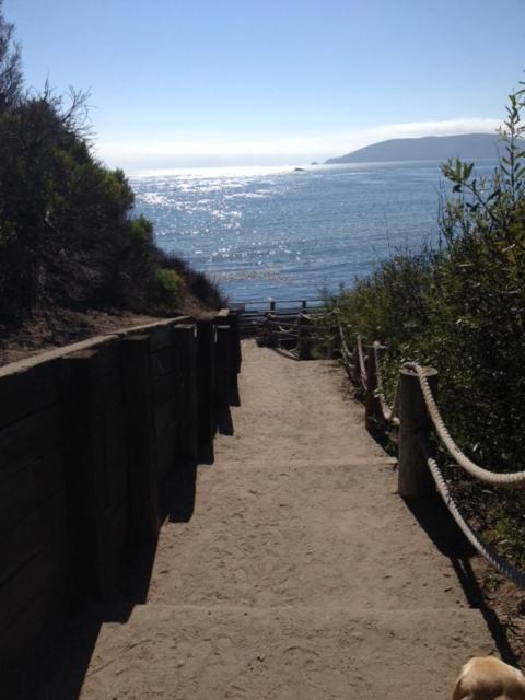 The Cliffs Hotel and Spa photo 44