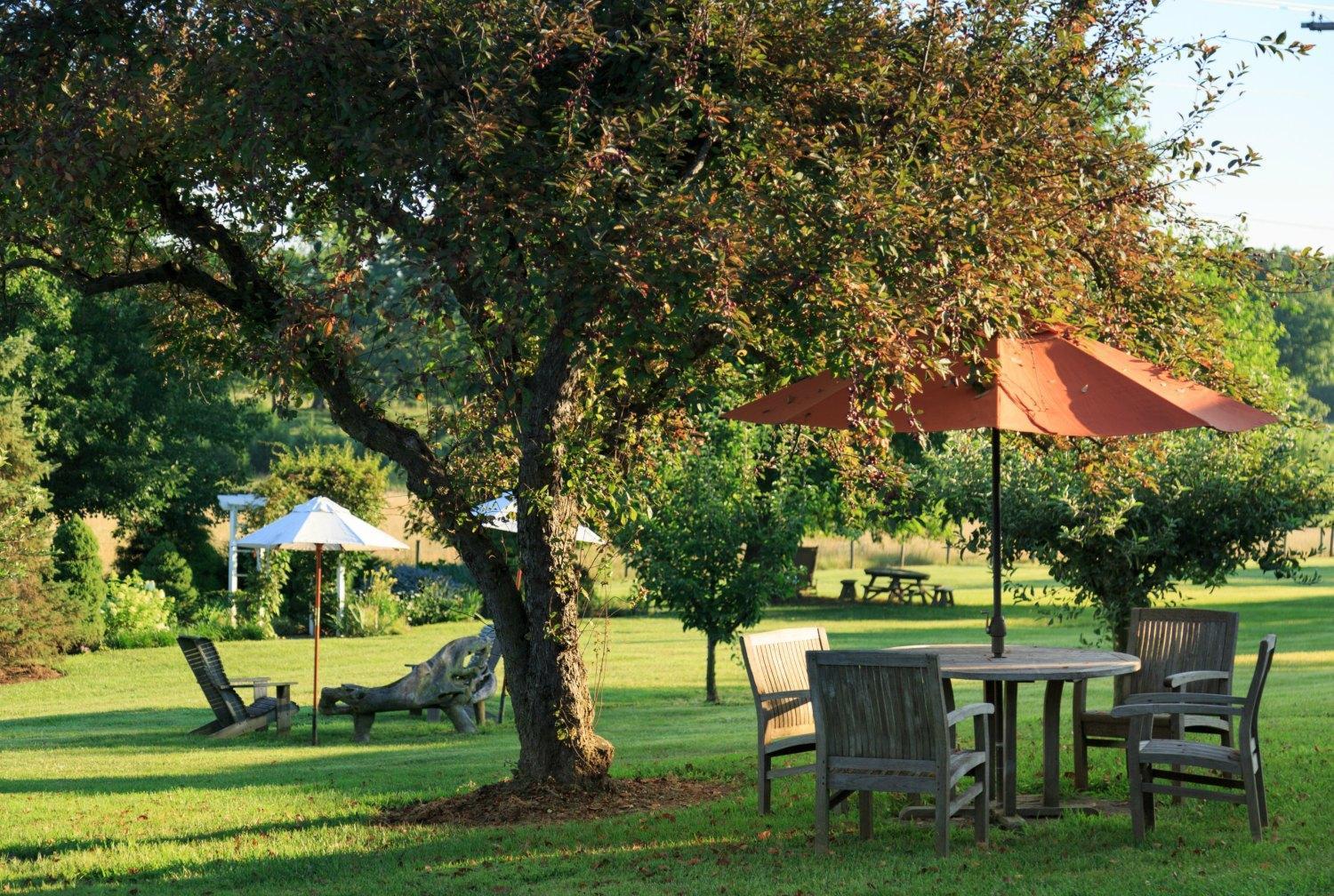 L'Auberge Provencale Inn & Restaurant photo 19