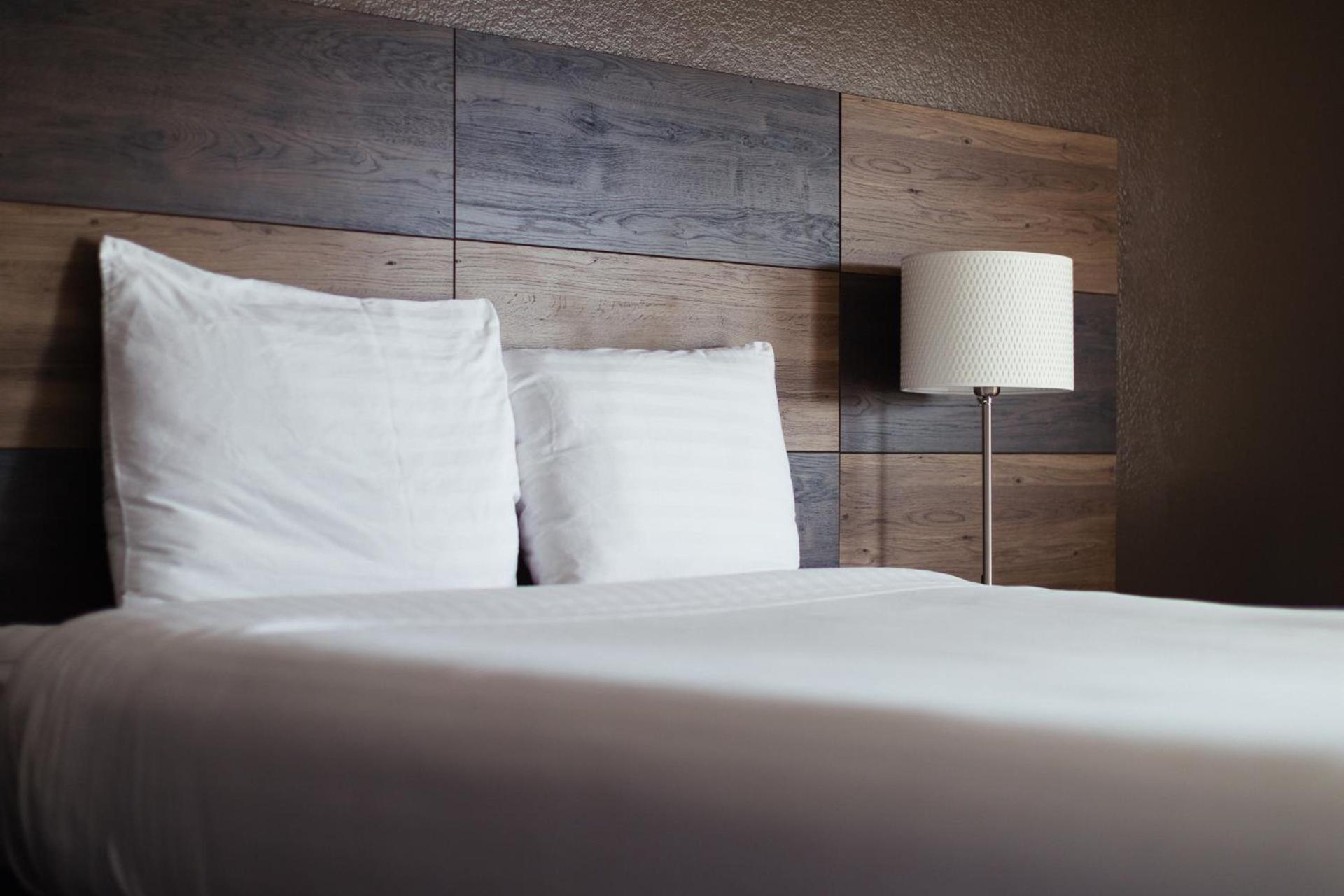 Cozy Inn photo 14
