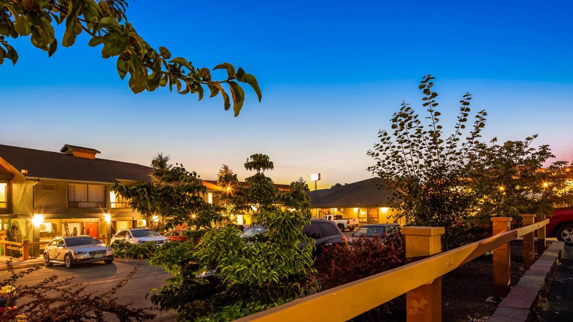 Best Western Plus Tree House — hotel in Mount Shasta