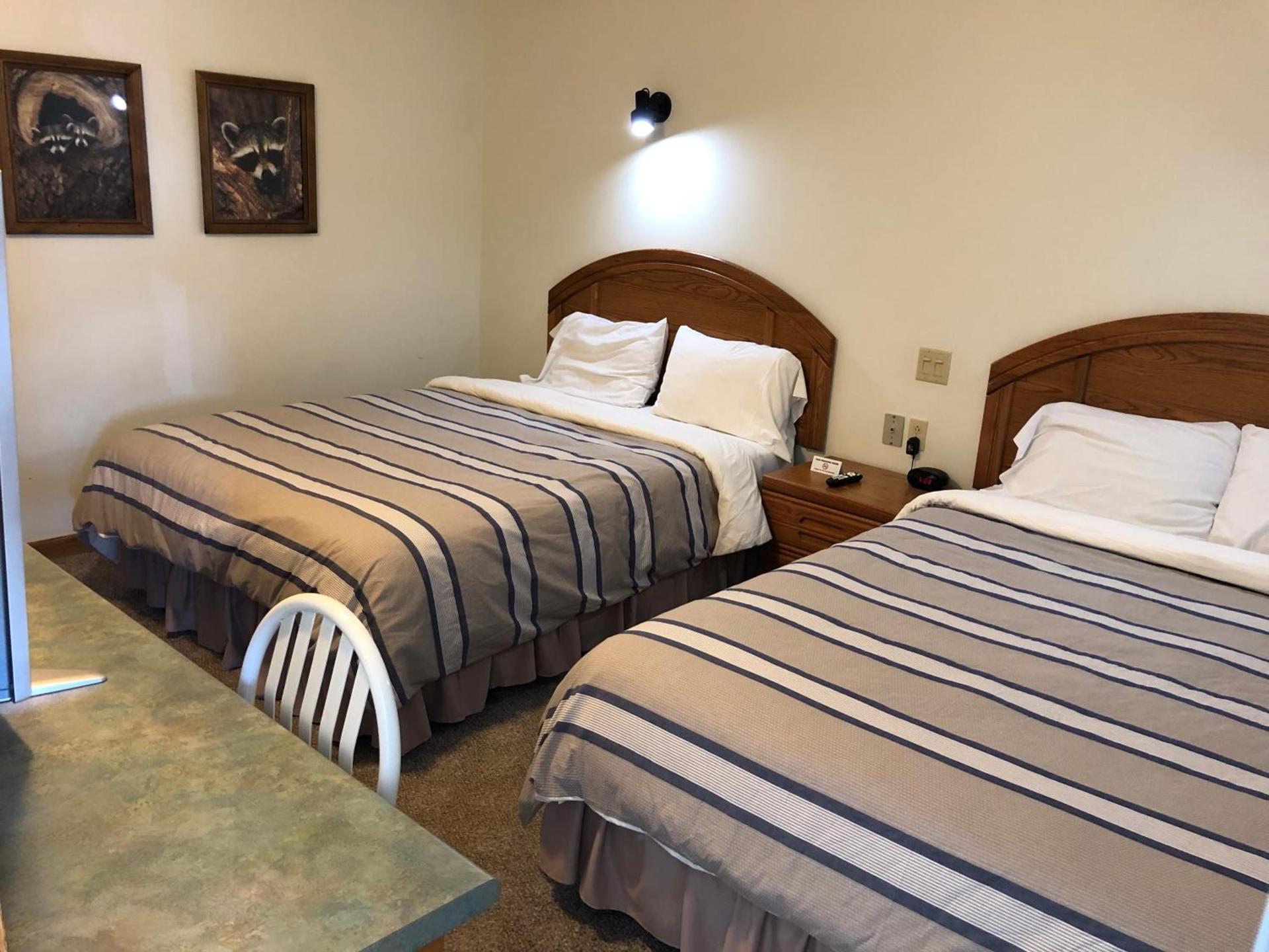 Village Inn Motel photo 8