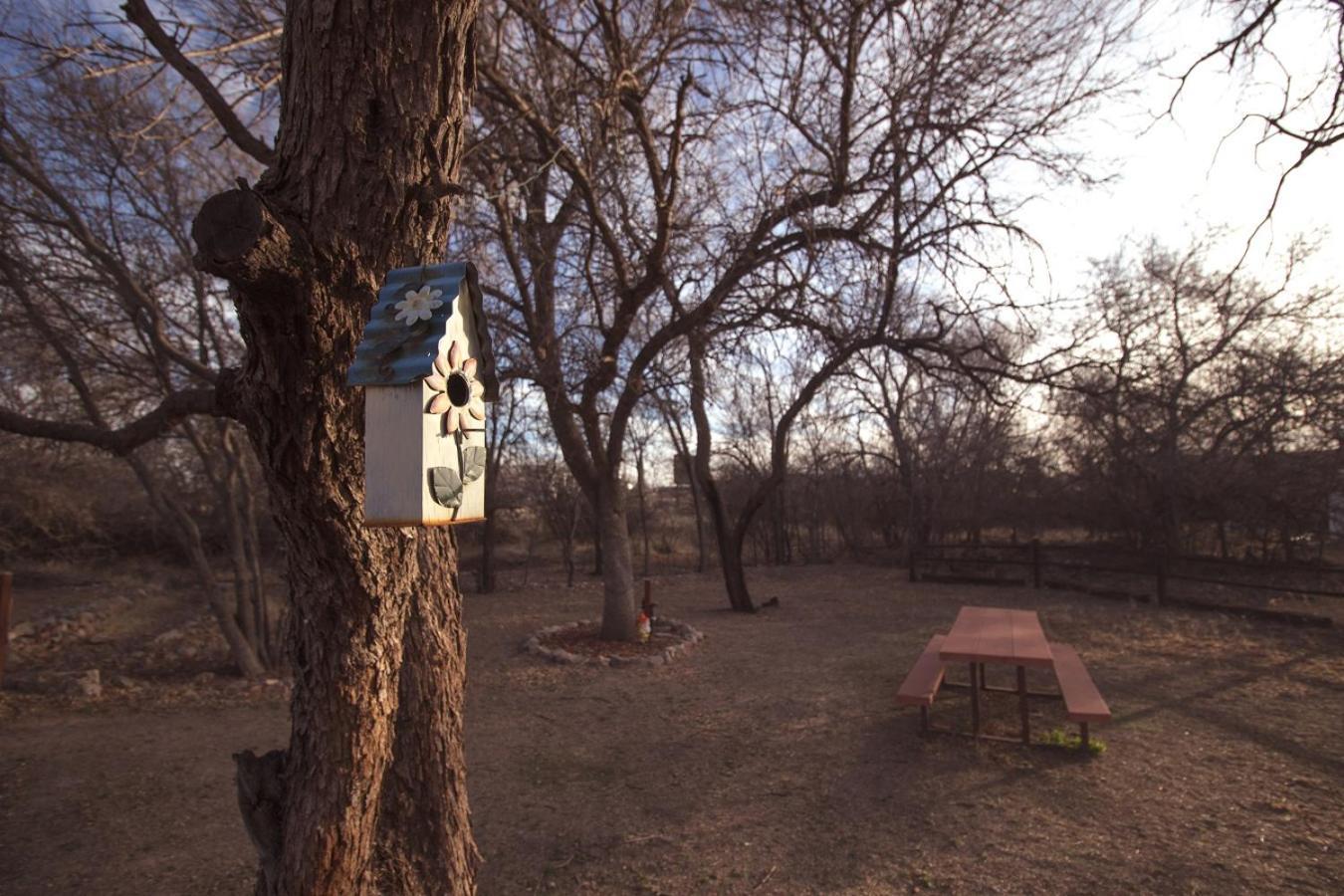 Katie's Cozy Cabins photo 19