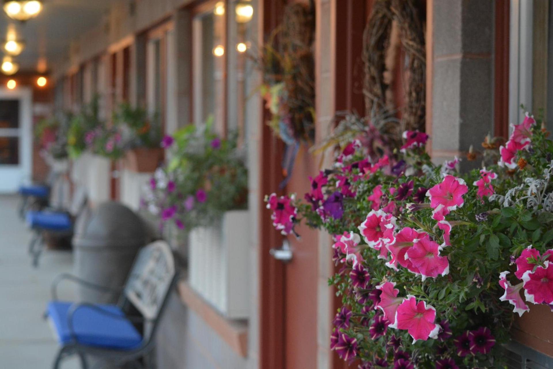 Lariat Motel photo 21