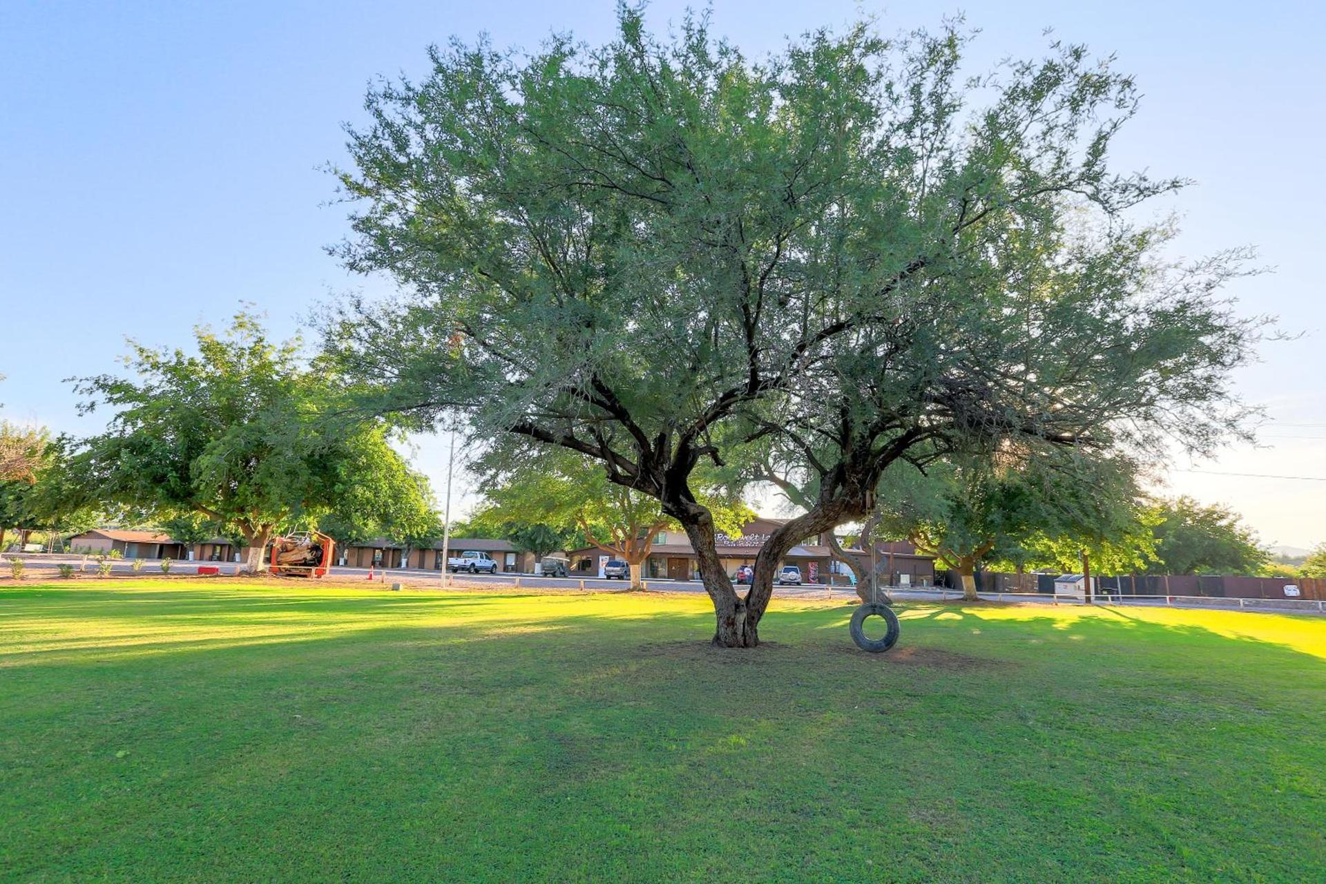 Roosevelt Resort Park photo 11
