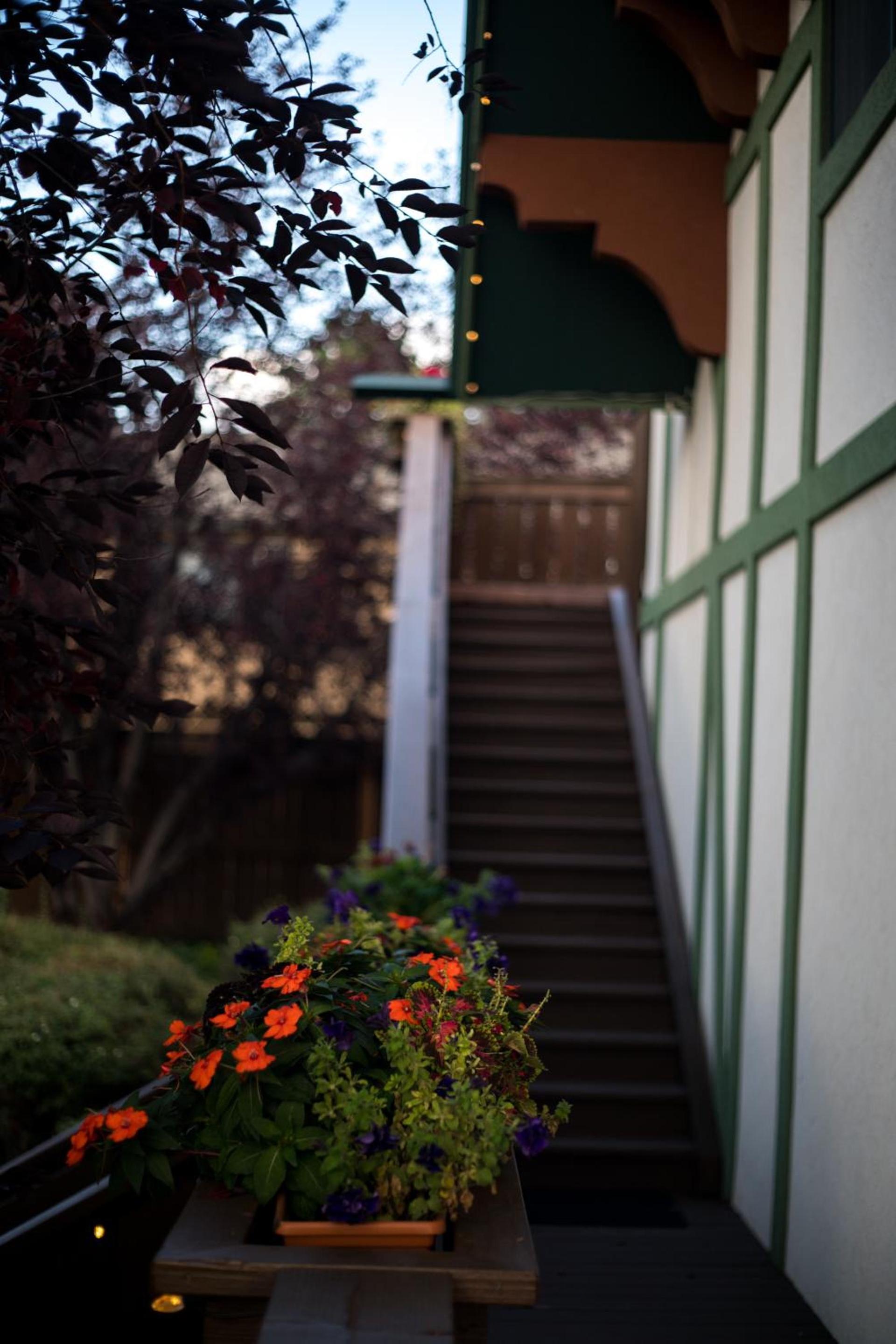 Appenzell Inn photo 25