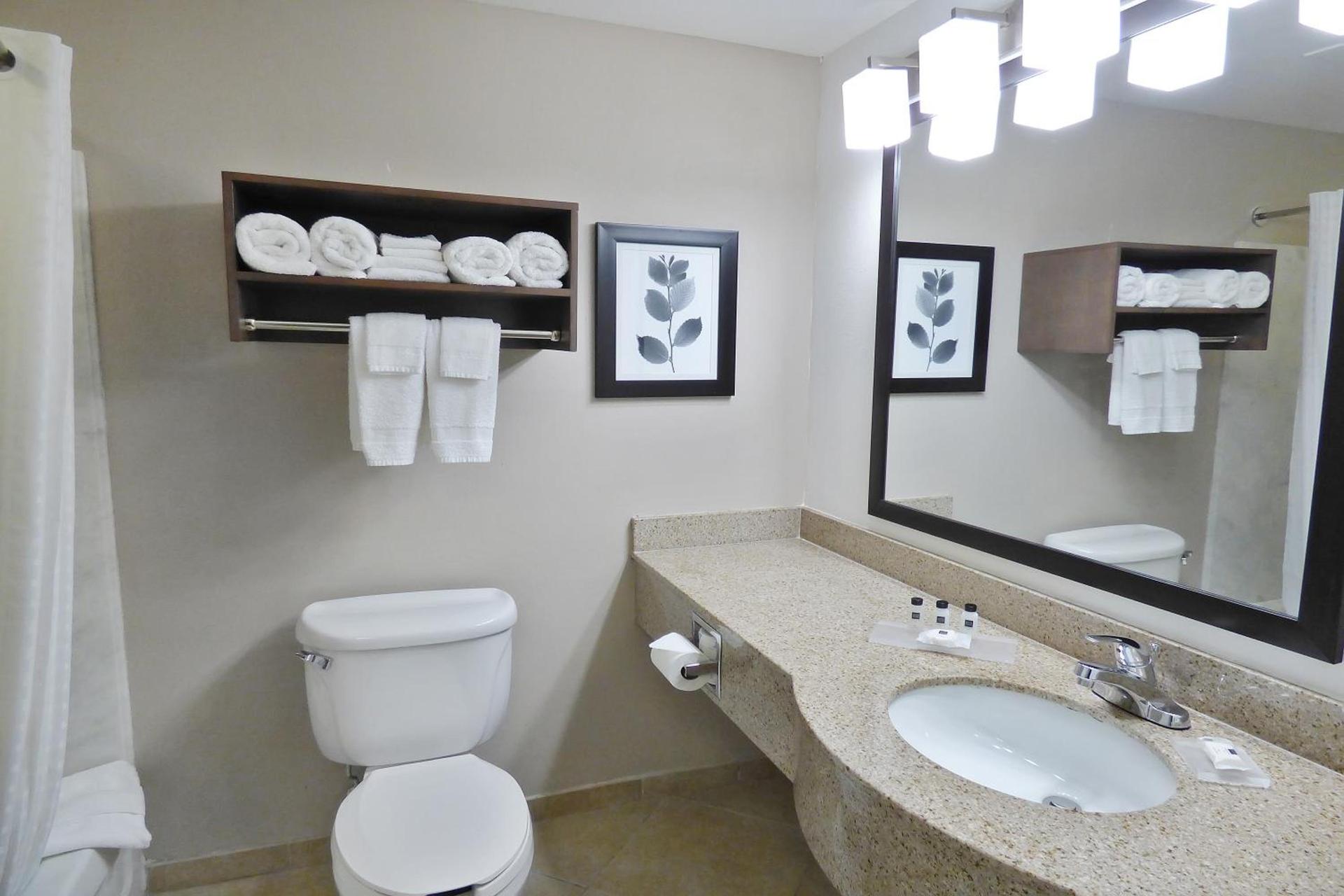 Country Inn & Suites by Radisson, Tampa-Brandon, FL photo 51