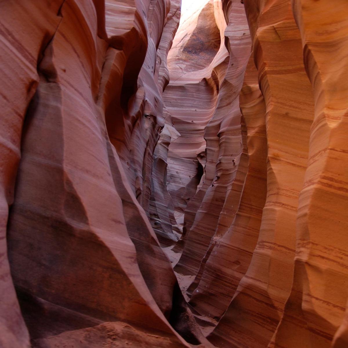 The Inn of Escalante photo 25