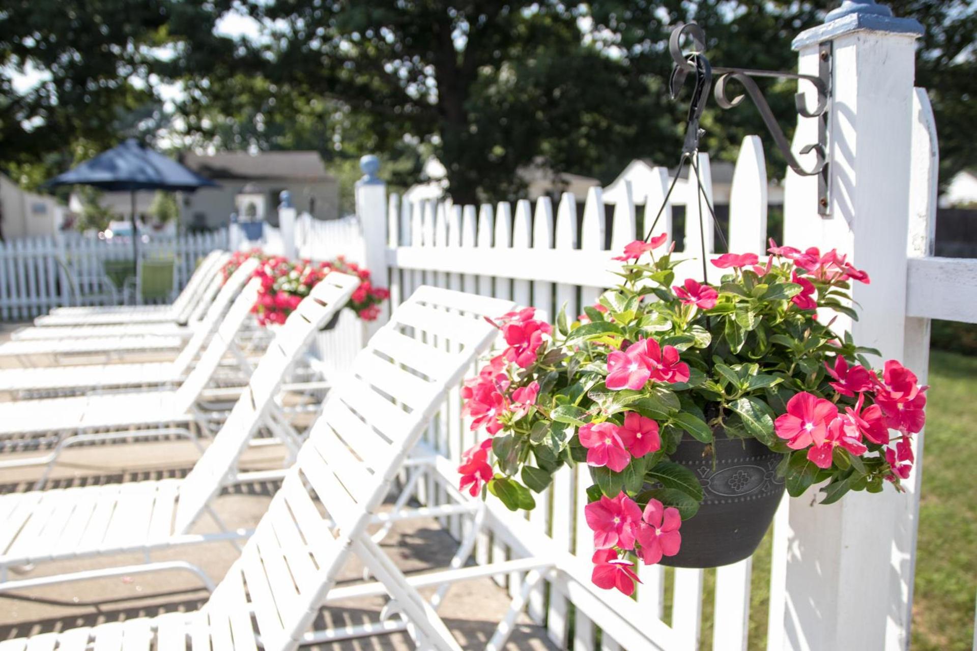 Seacoast Motel photo 11
