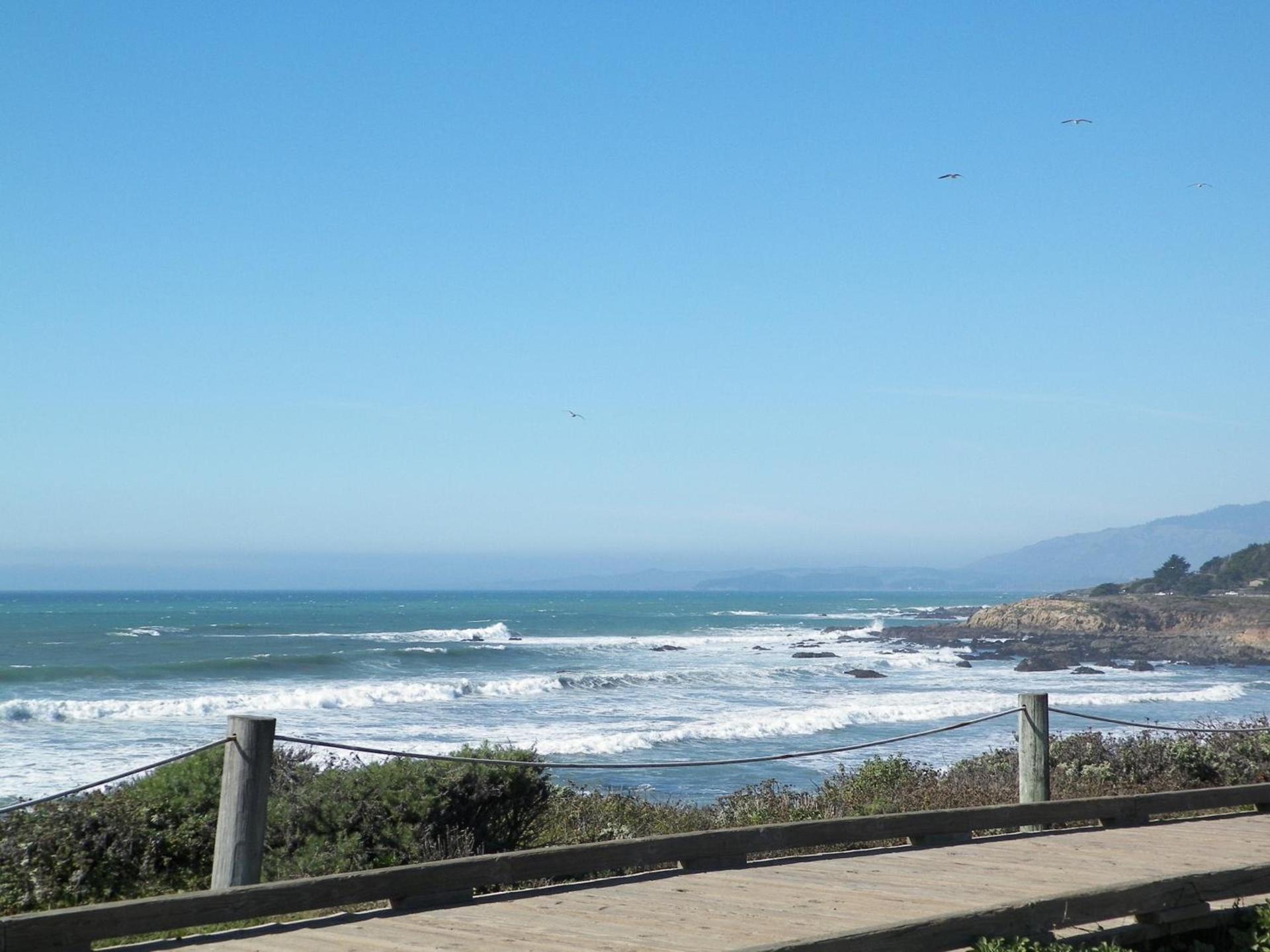 Sea Otter Inn photo 6