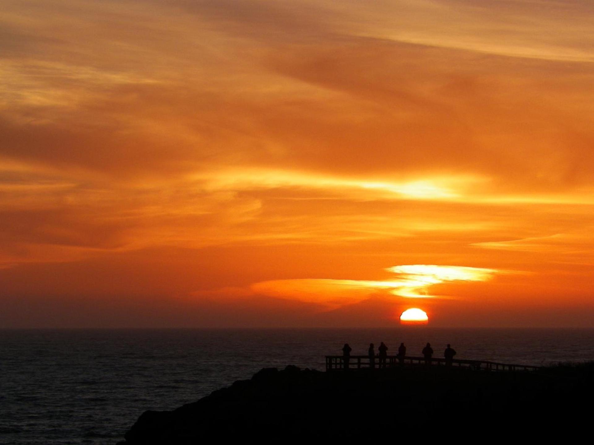 Sea Otter Inn photo 7