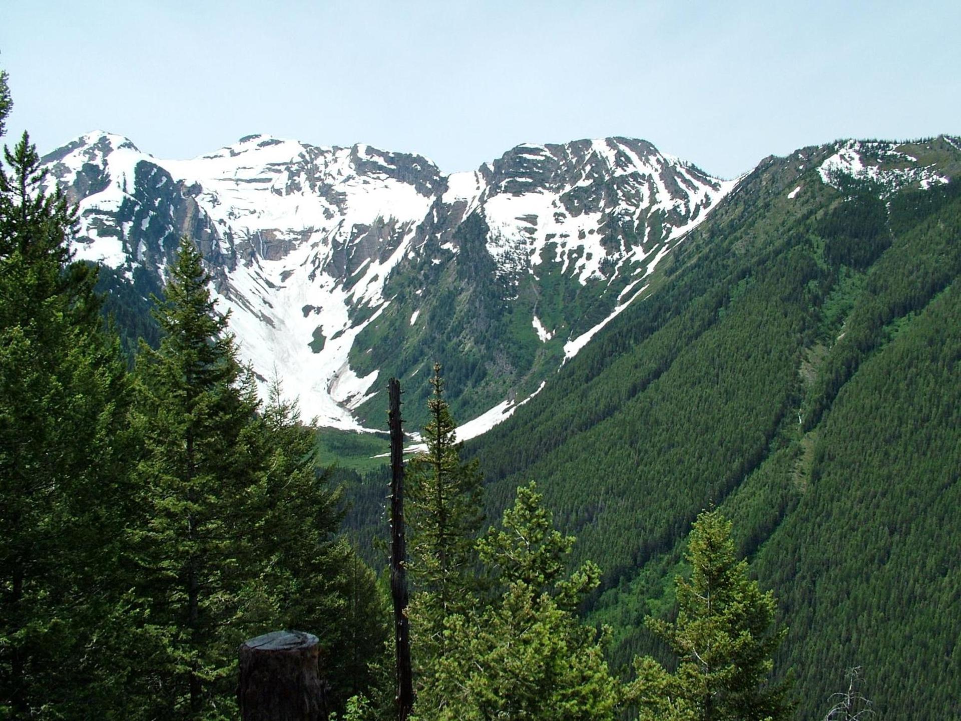 Glacier Haven Inn photo 8
