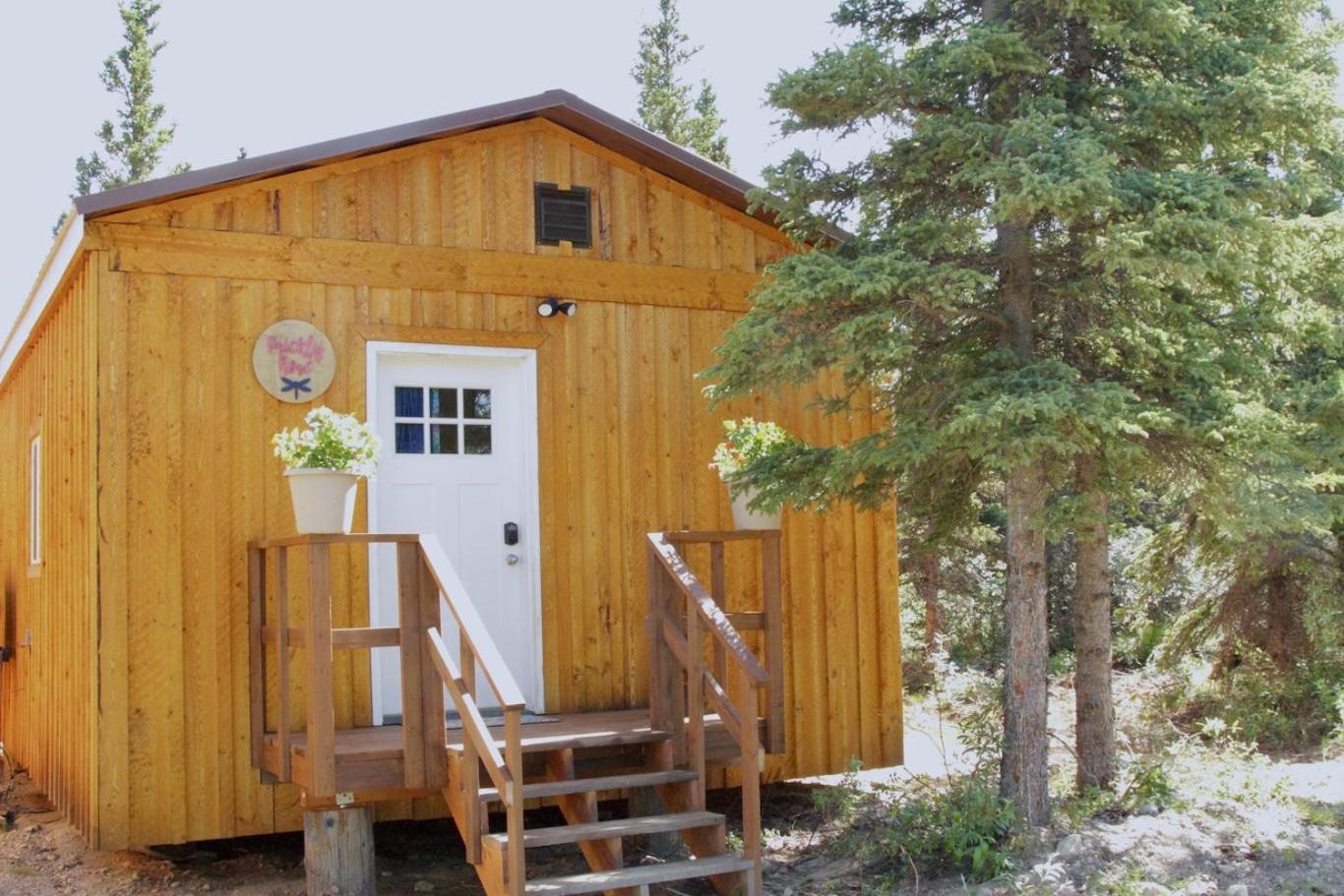 Arctic Dragonfly Inn photo 7