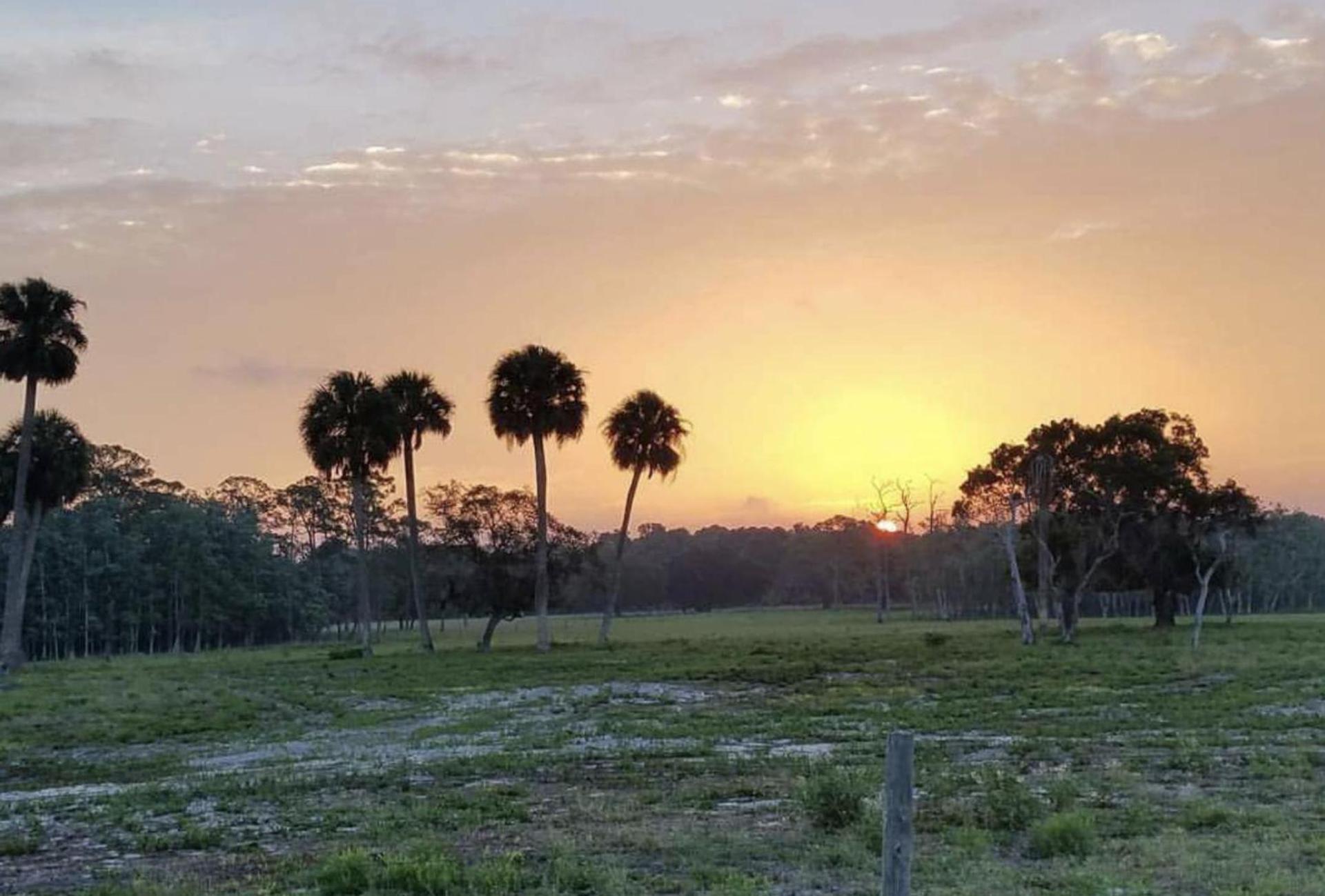 Seminole Inn photo 34