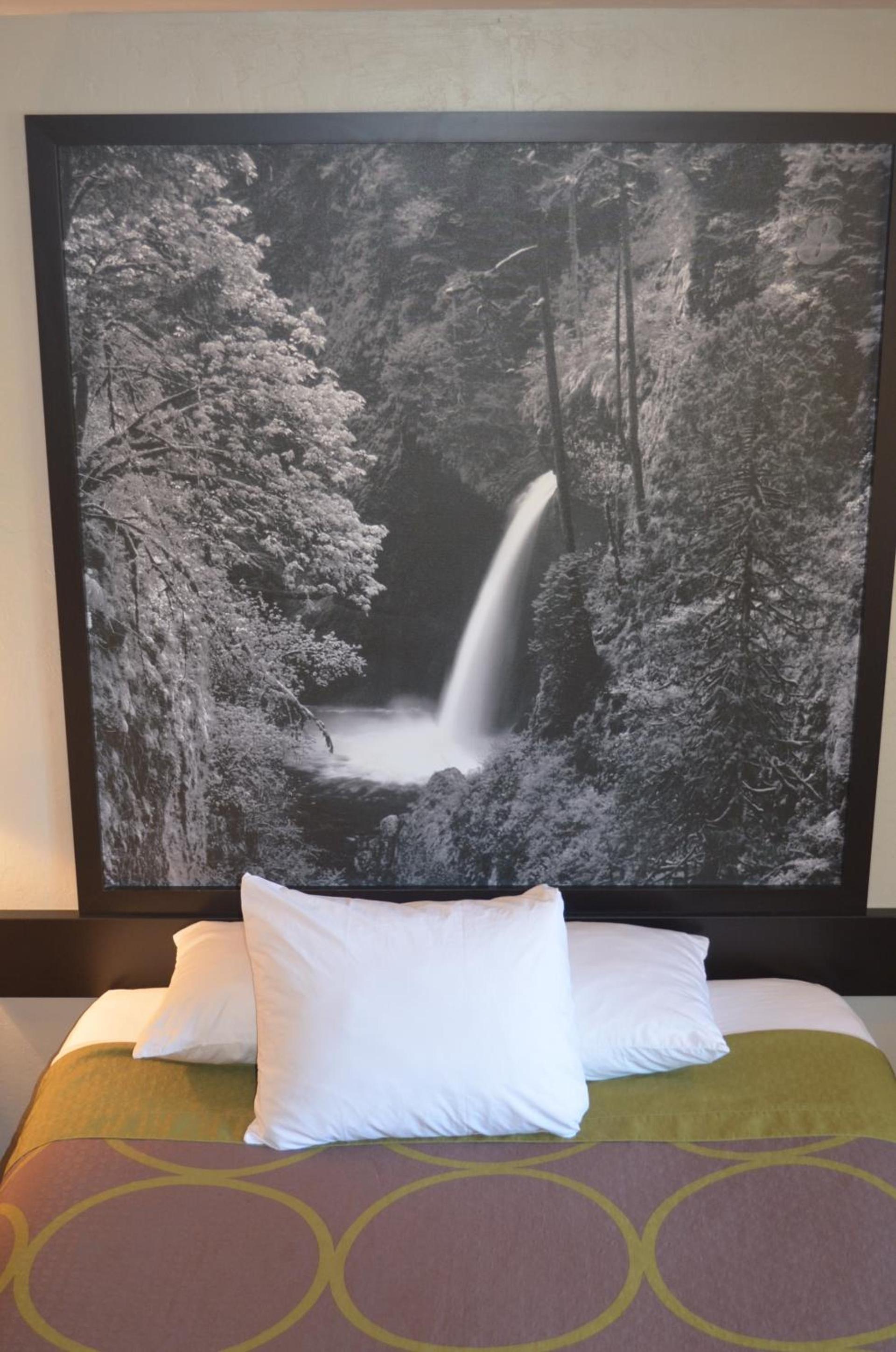 Super 8 by Wyndham Roseburg photo 40