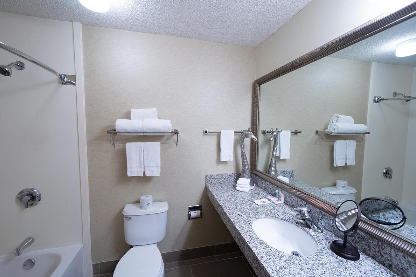 AmericInn by Wyndham Omaha Near Zoo photo 31