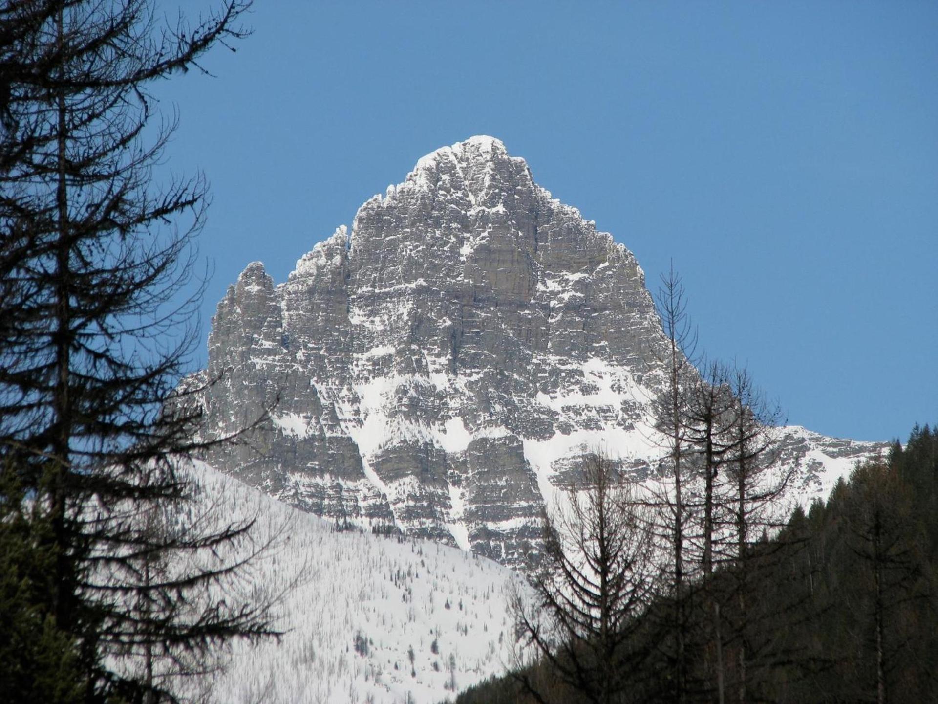 Glacier Haven Inn photo 12