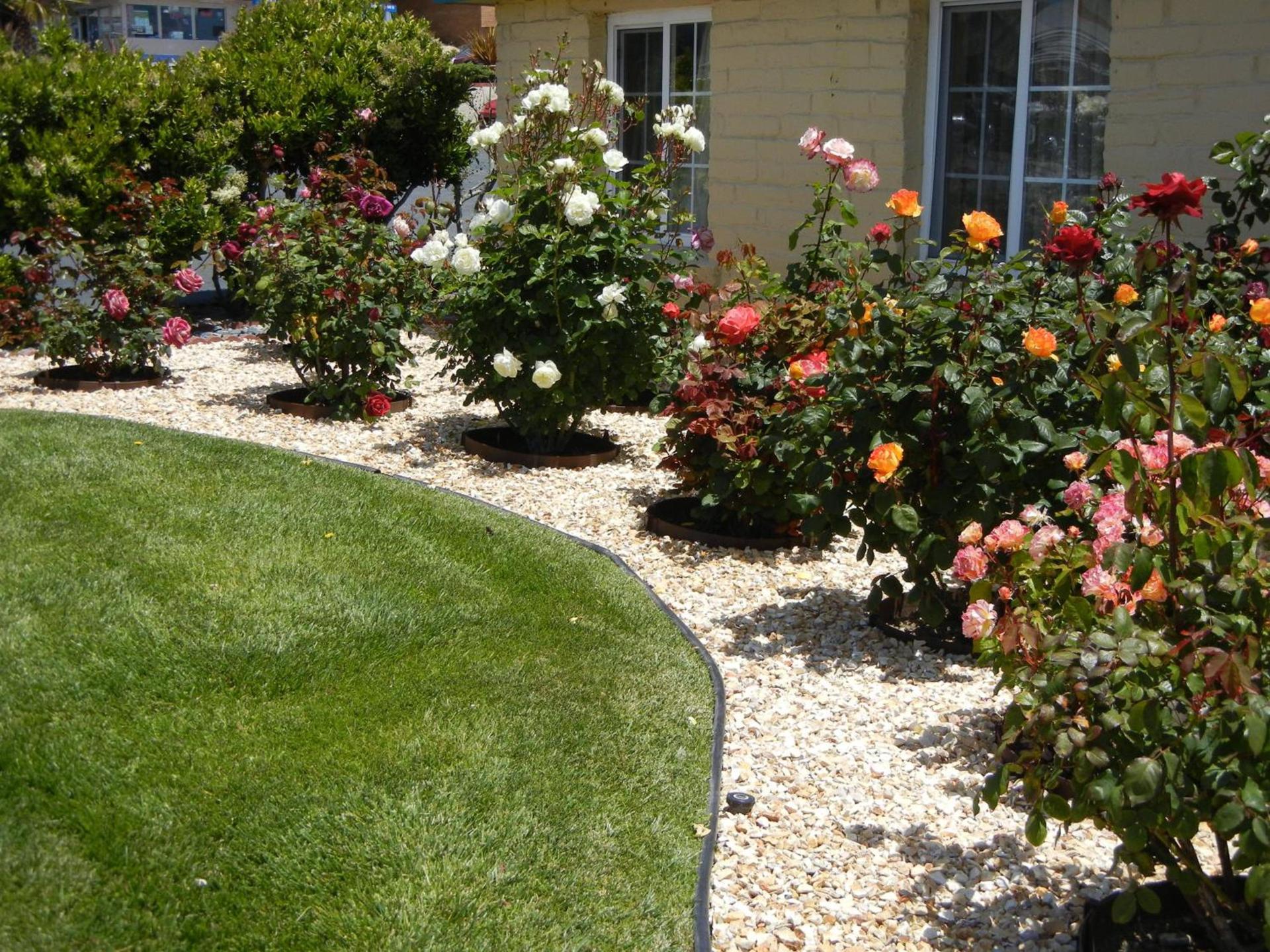 Seaside Inn Monterey photo 21