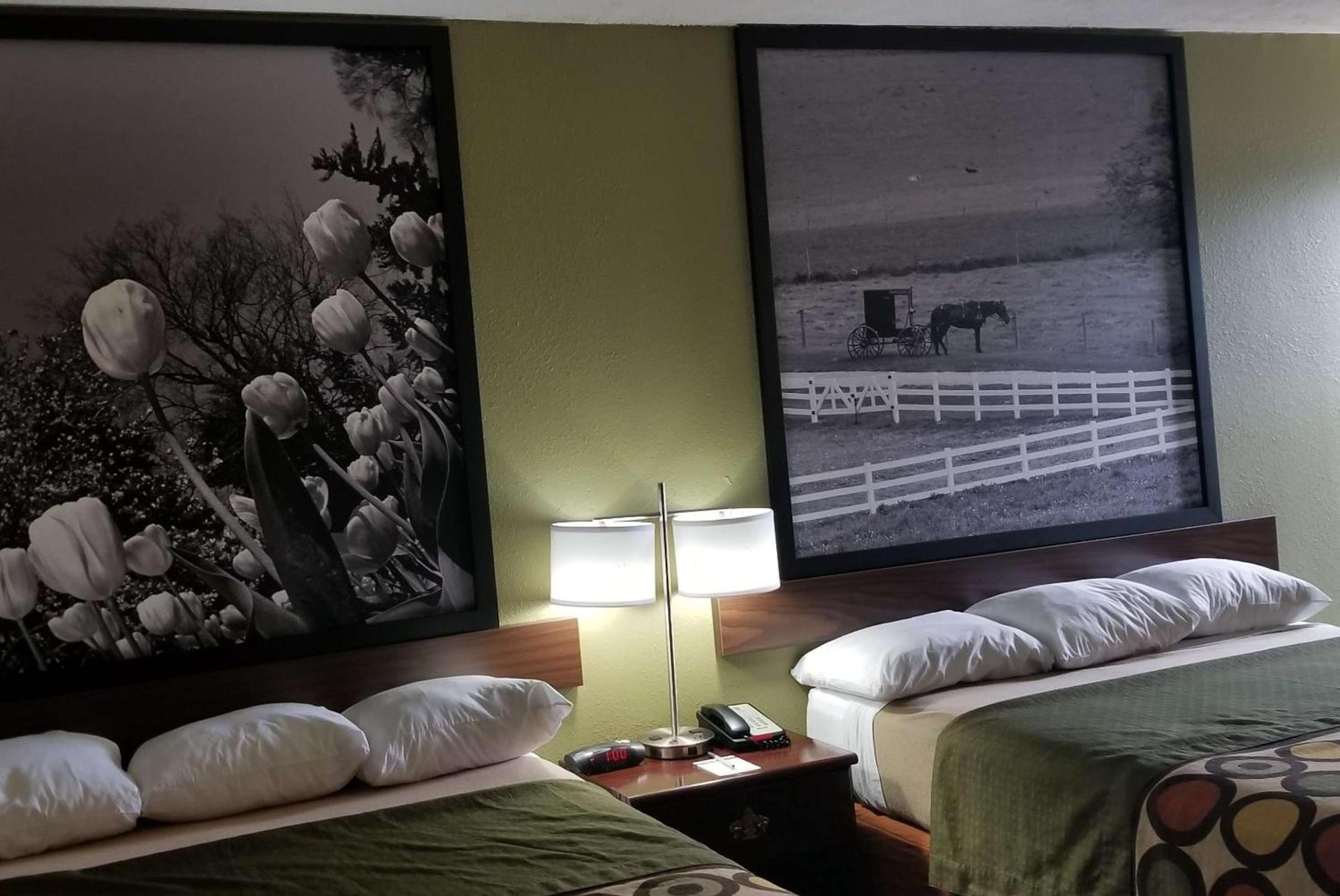 Super 8 by Wyndham Bellefontaine photo 8