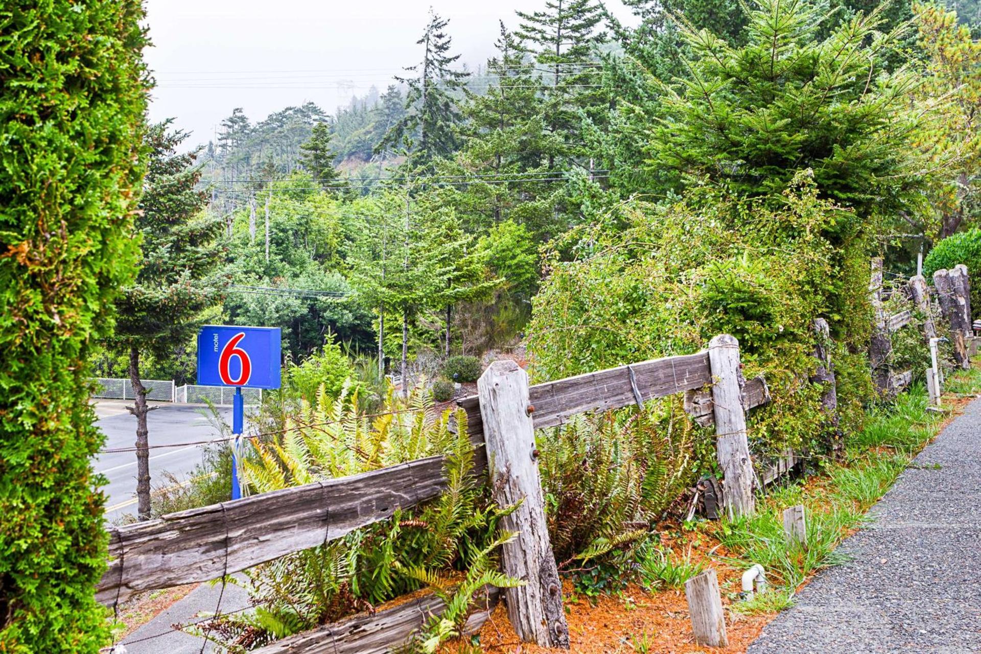 Motel 6 Gold Beach photo 8