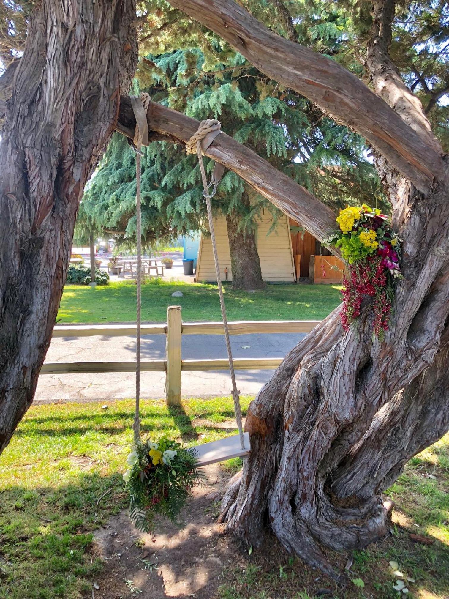 Alamo Motel photo 5