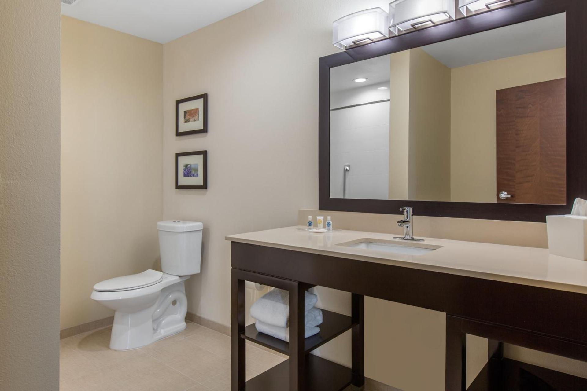 Comfort Suites - South Austin photo 12
