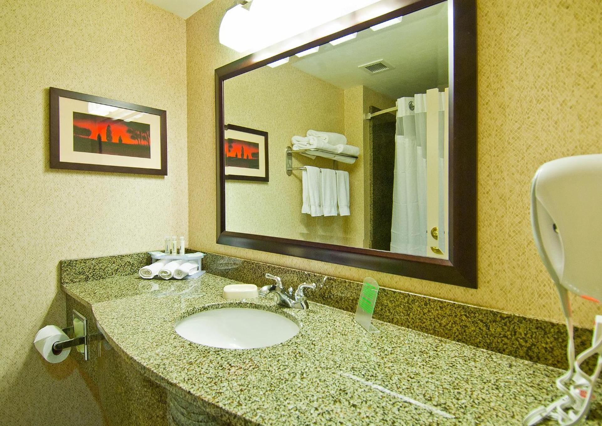 Holiday Inn Express & Suites Oro Valley-Tucson North by IHG photo 11