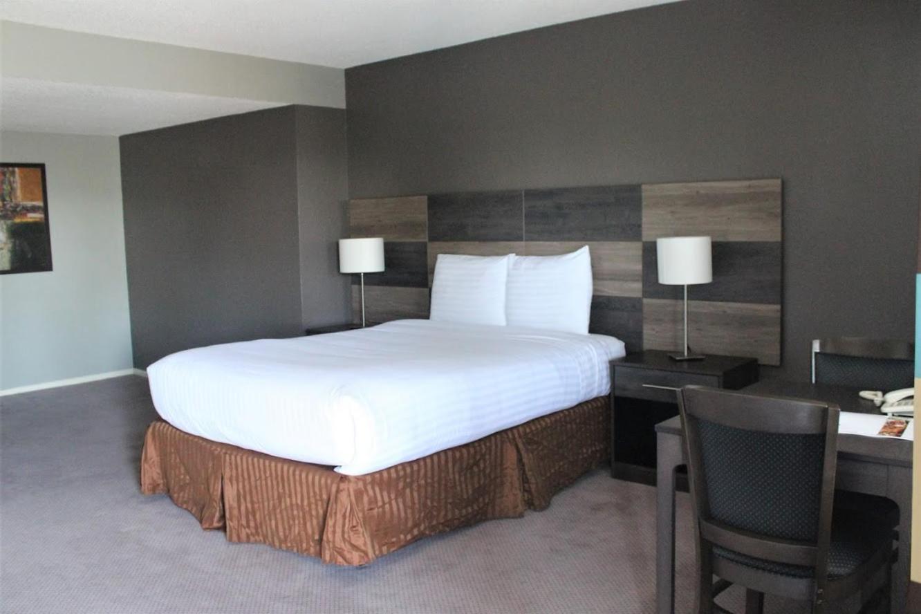 Cozy Inn photo 8