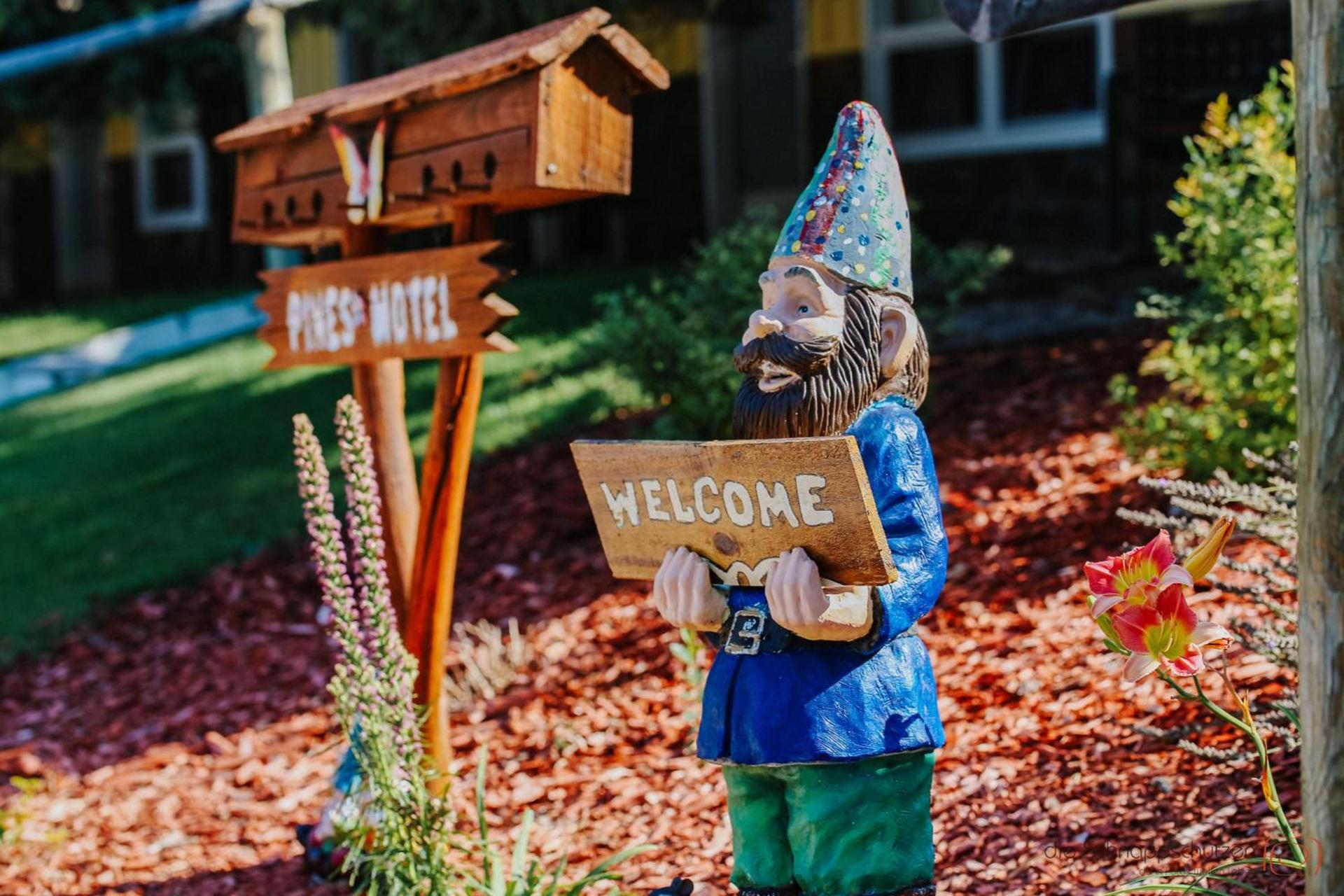 The Pines Country Inn photo 19