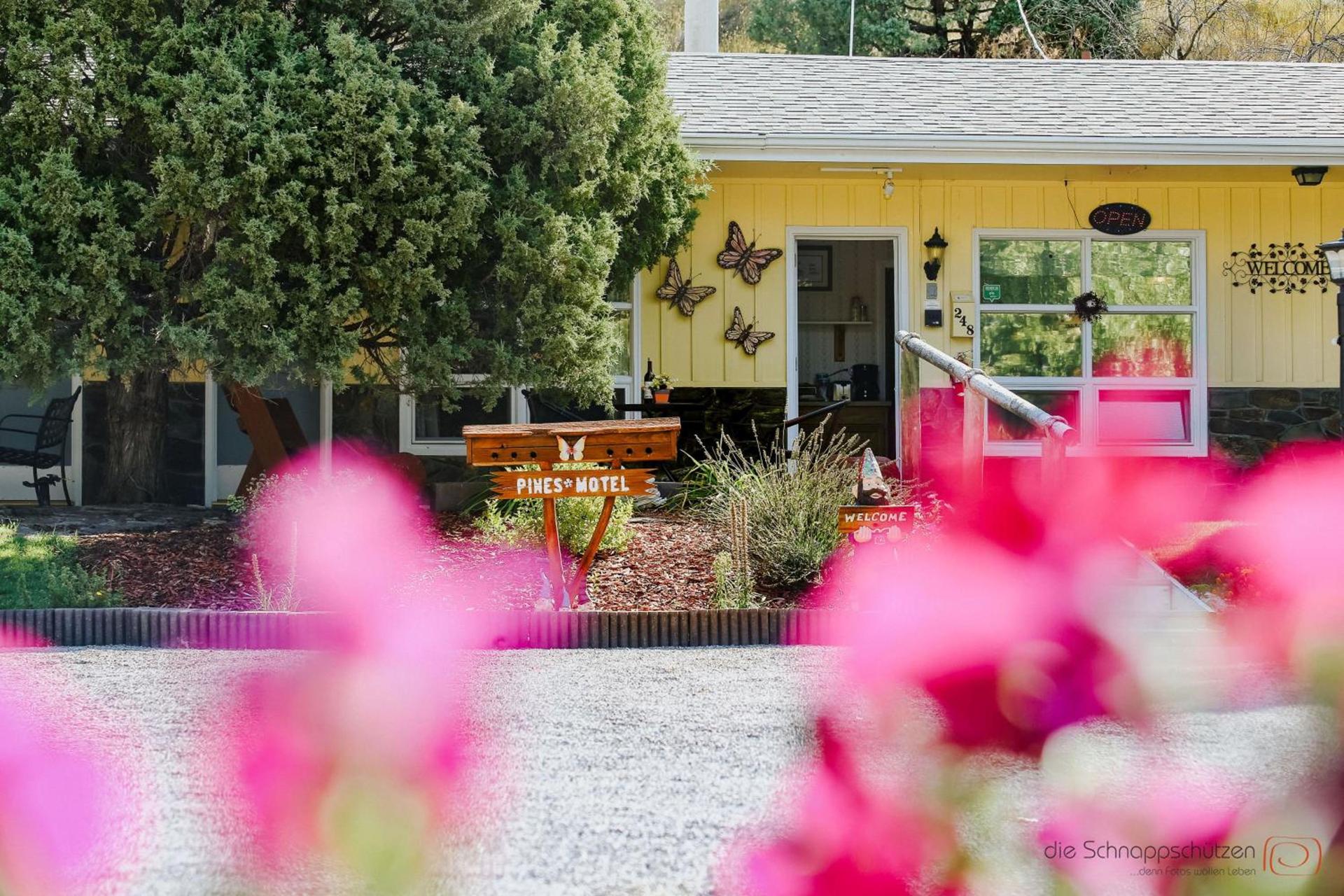 The Pines Country Inn photo 18